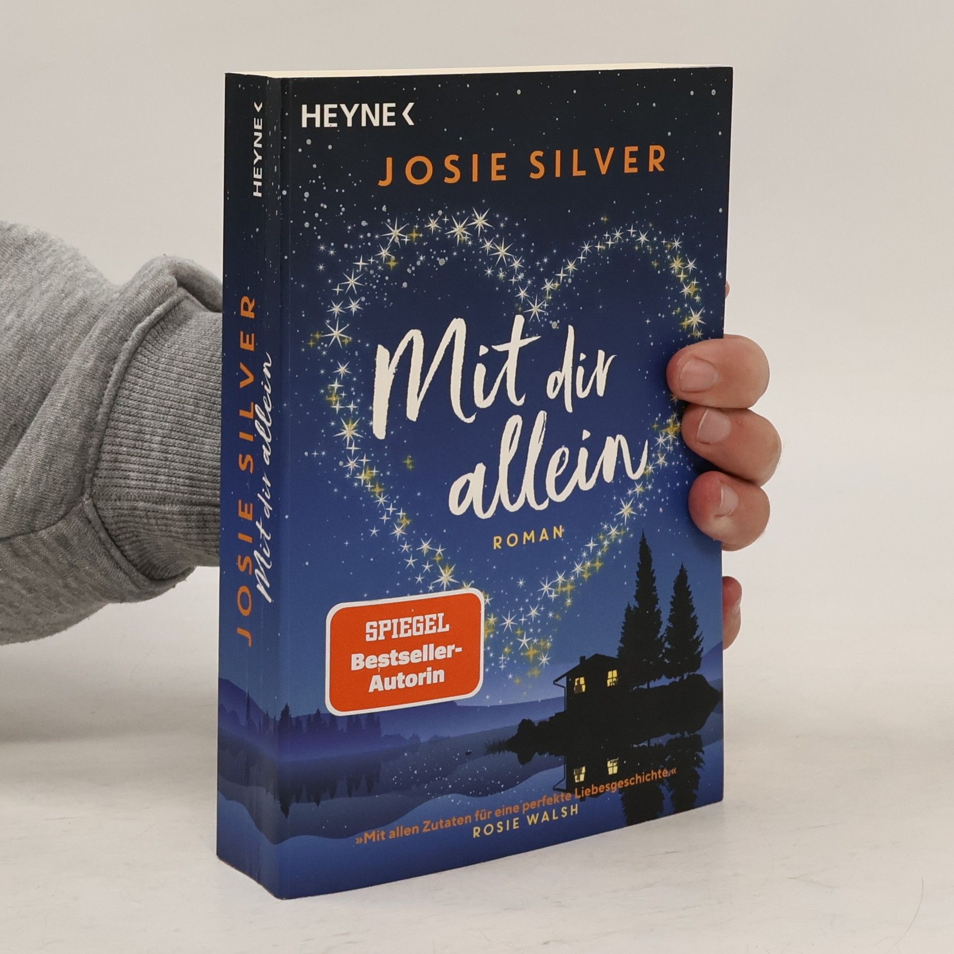 Josie Silver Mit dir allein