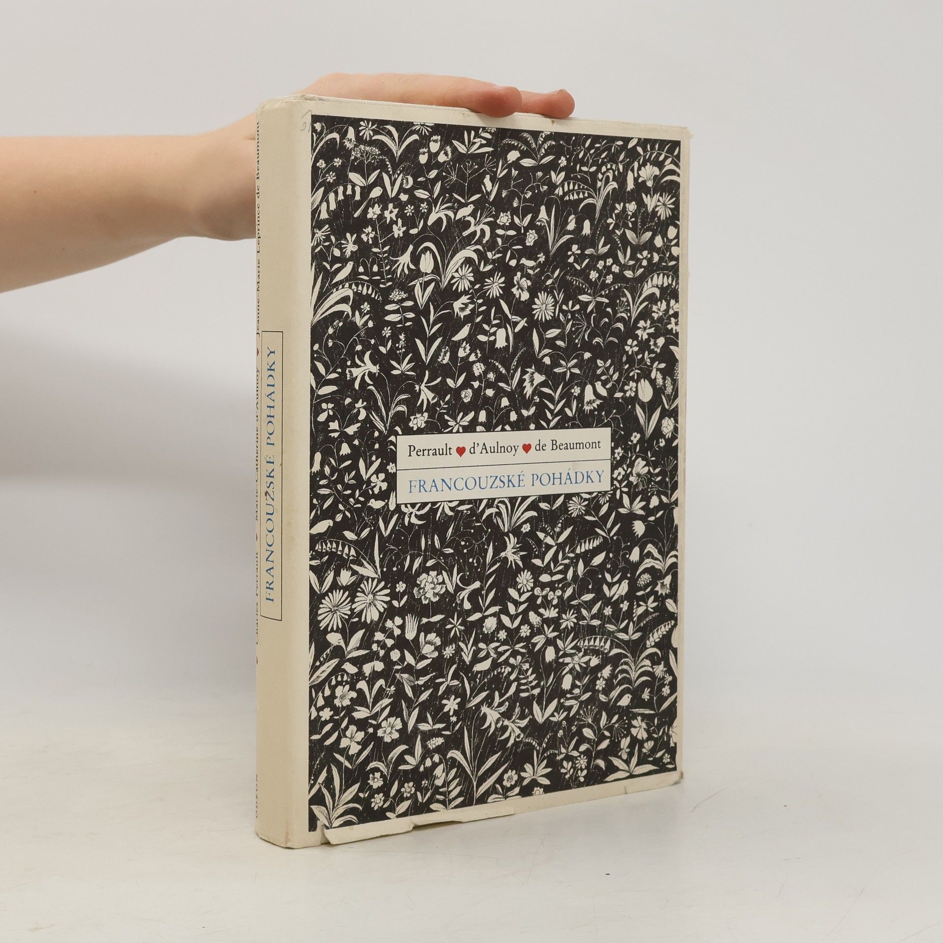 Autorenkollektiv Francouzské pohádky