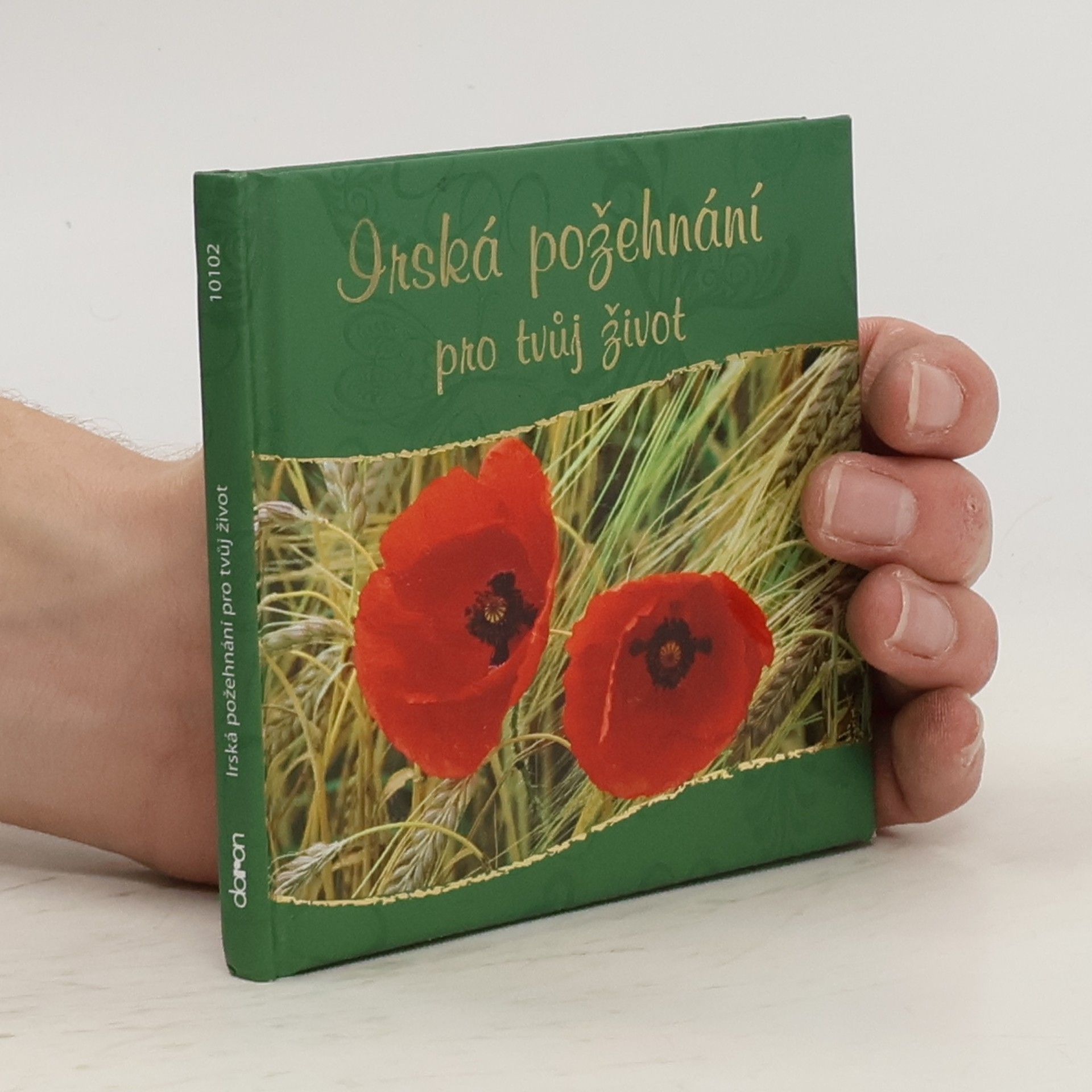 Auteurscollectief Irská požehnání pro tvůj život