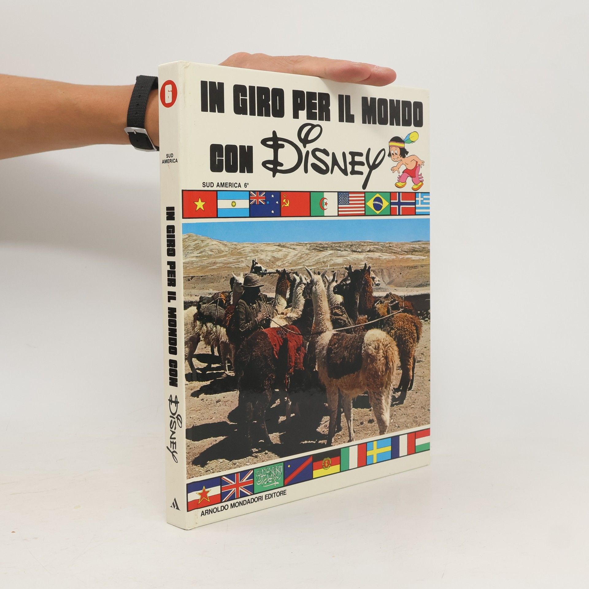 AA.VV. In giro per il mondo con Disney