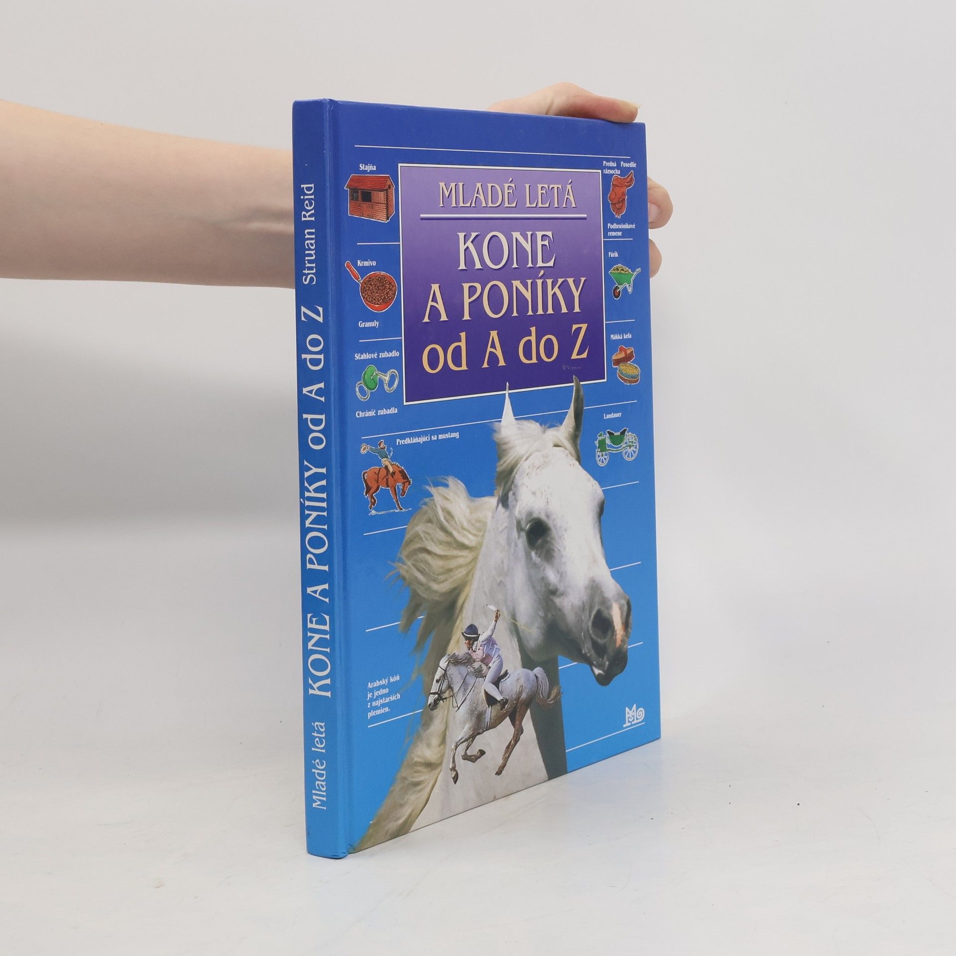 Autorenkollektiv Kone a poníky od A do Z