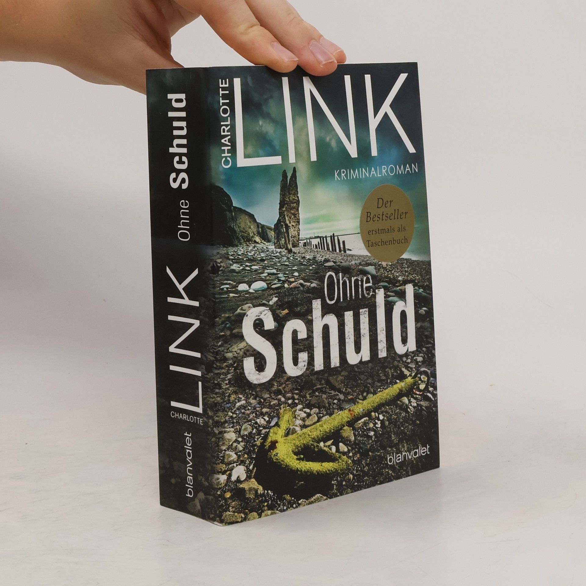 Charlotte Link Ohne Schuld