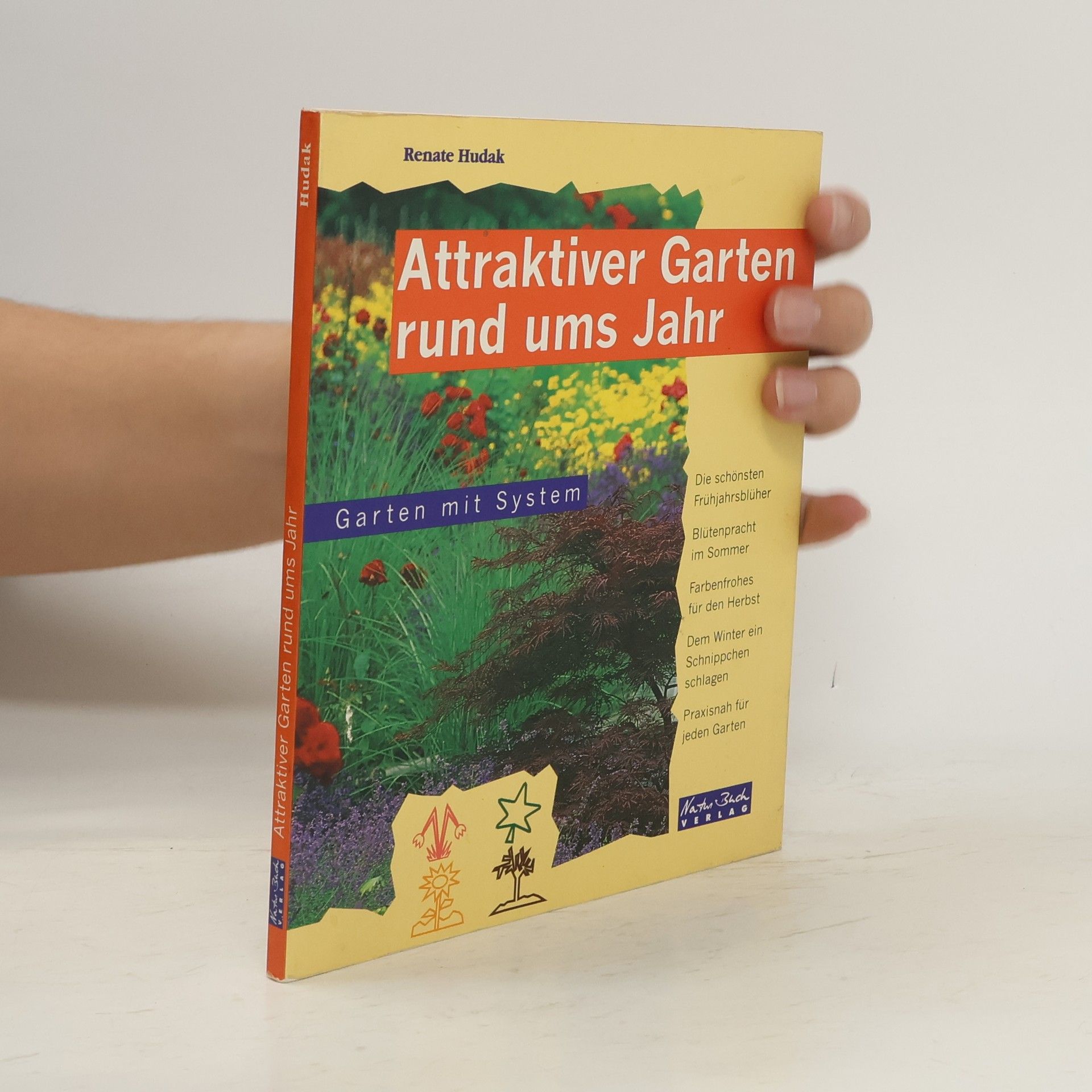 Mircea Ighisan WOW! Wirksam Wirklichkeit erschaffen