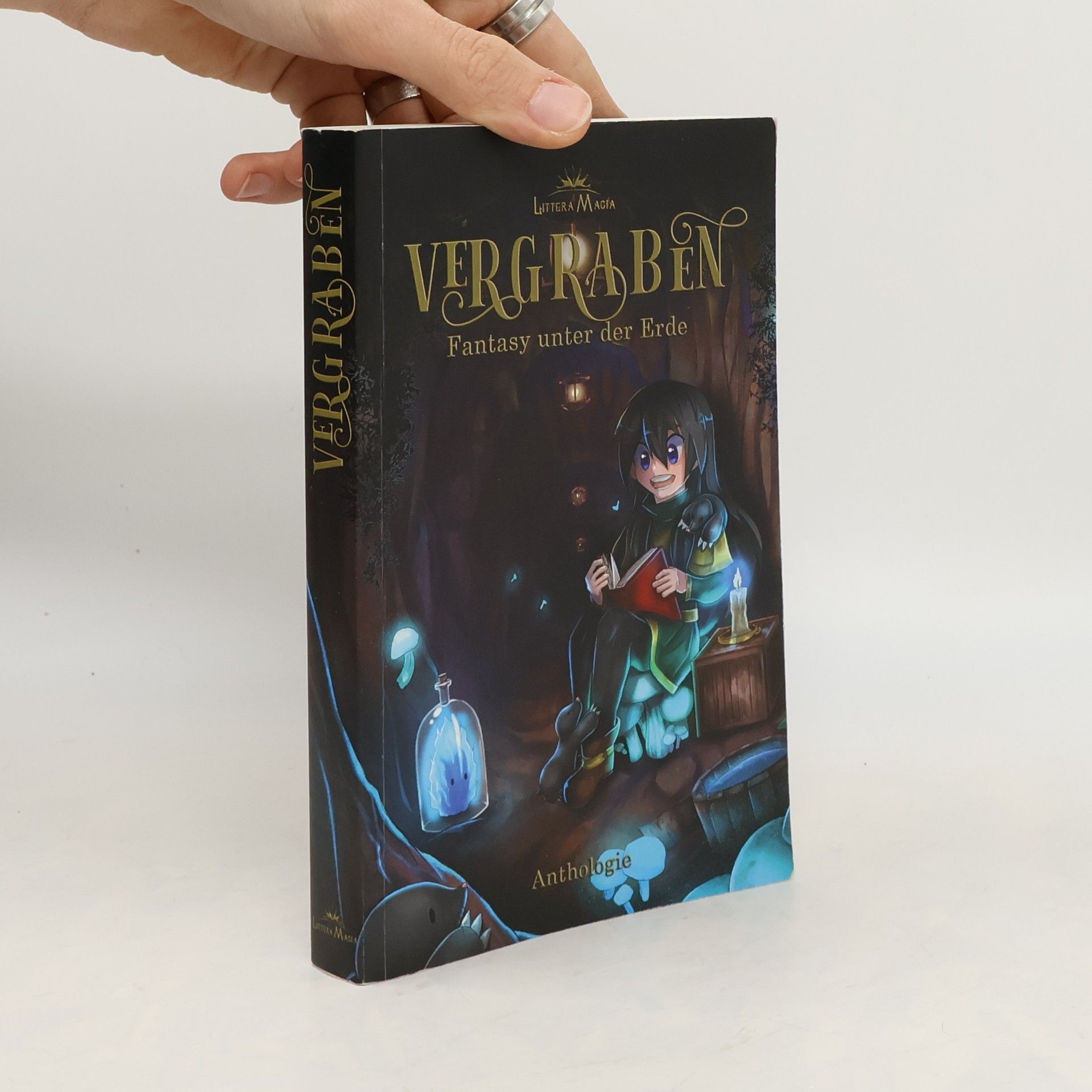 Collectif d'auteurs Vergraben. Fantasy unter der Erde