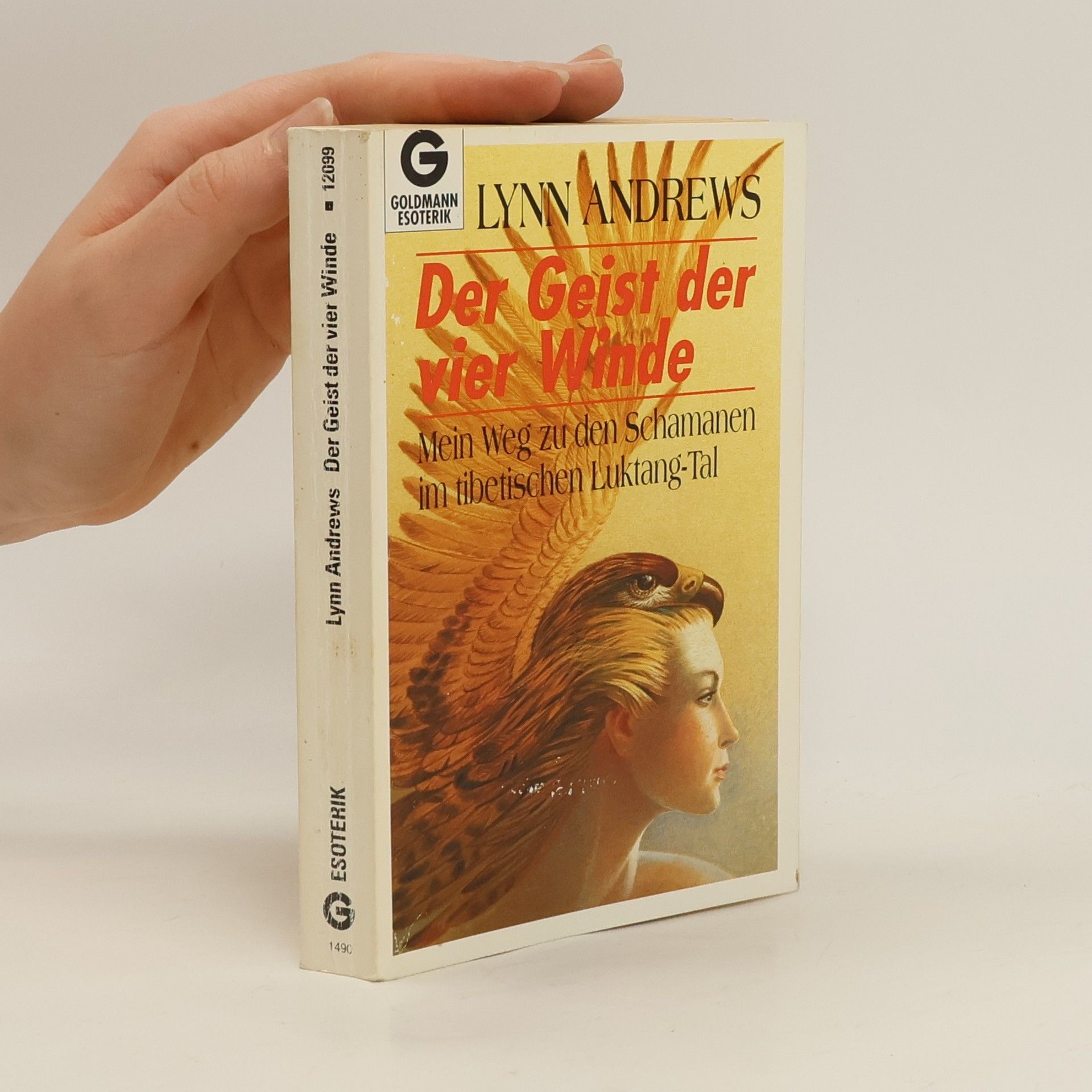 Der Geist der vier Winde: Mein Weg zu den Schamanen im tibetischen Luktang-Tal