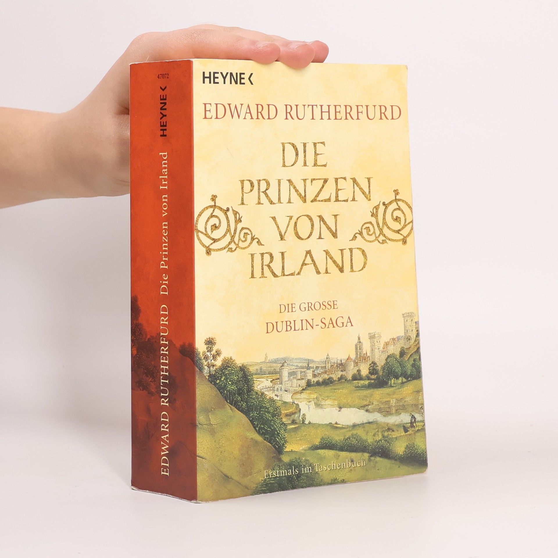 Die große Dublin-Saga. Die Prinzen von Irland