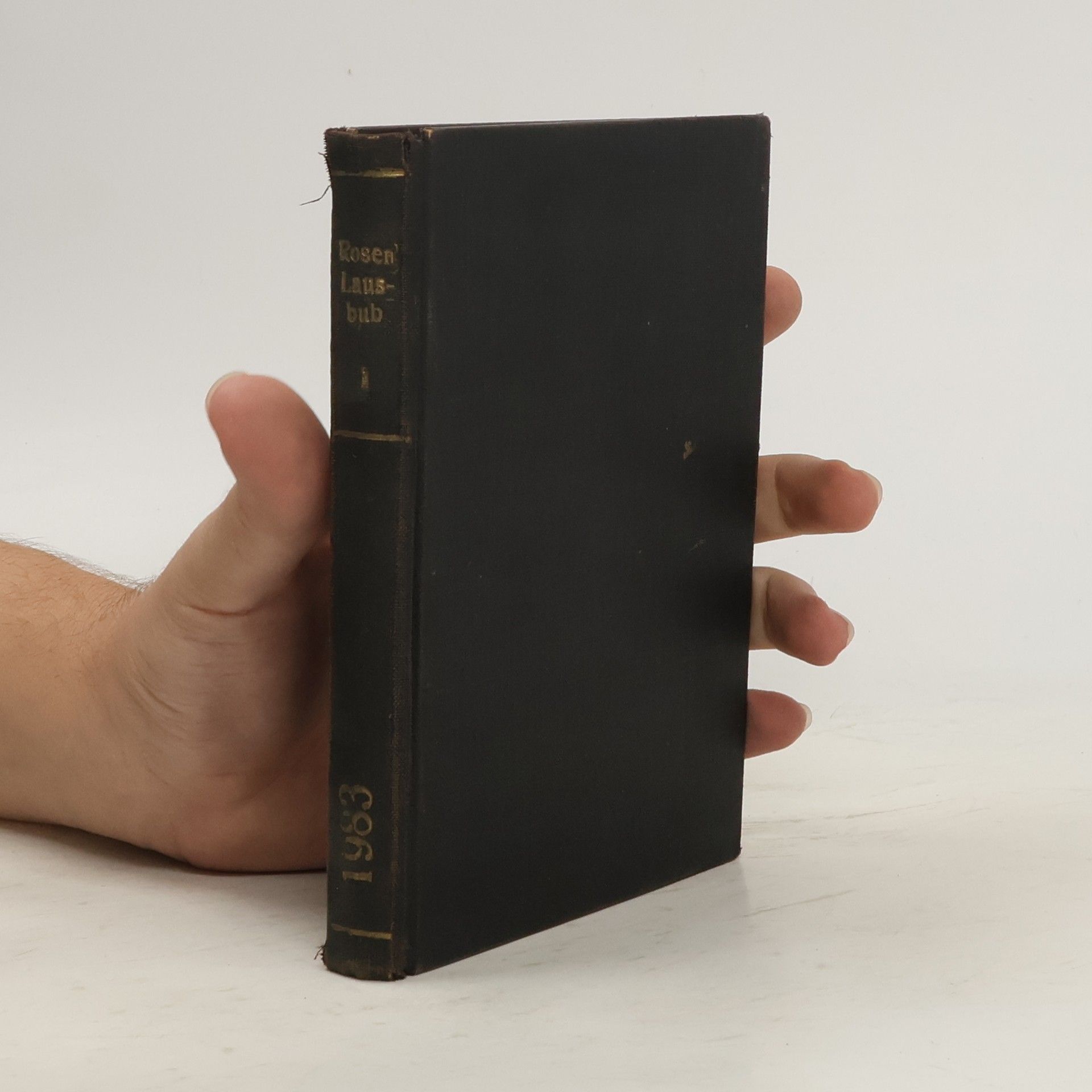 Der deutsche lausbub in Amerika 1