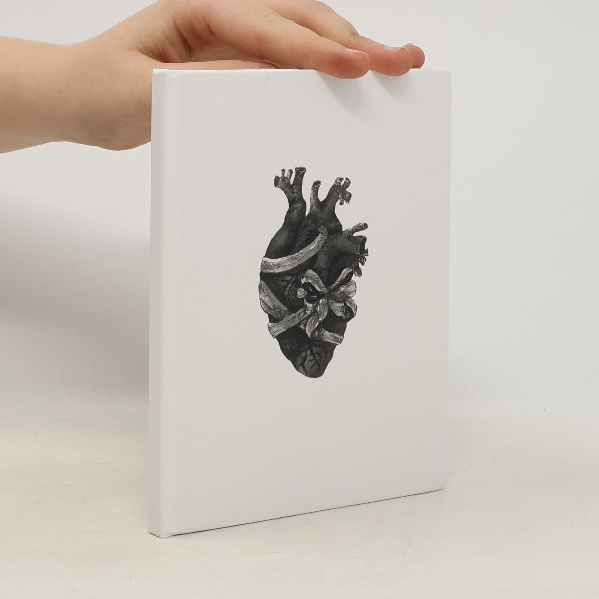 J. J. Theissig Dlouhé jsou cesty