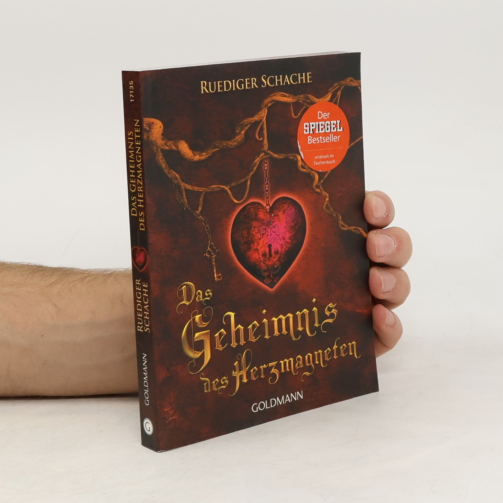Ruediger Schache Das Geheimnis des Herzmagneten