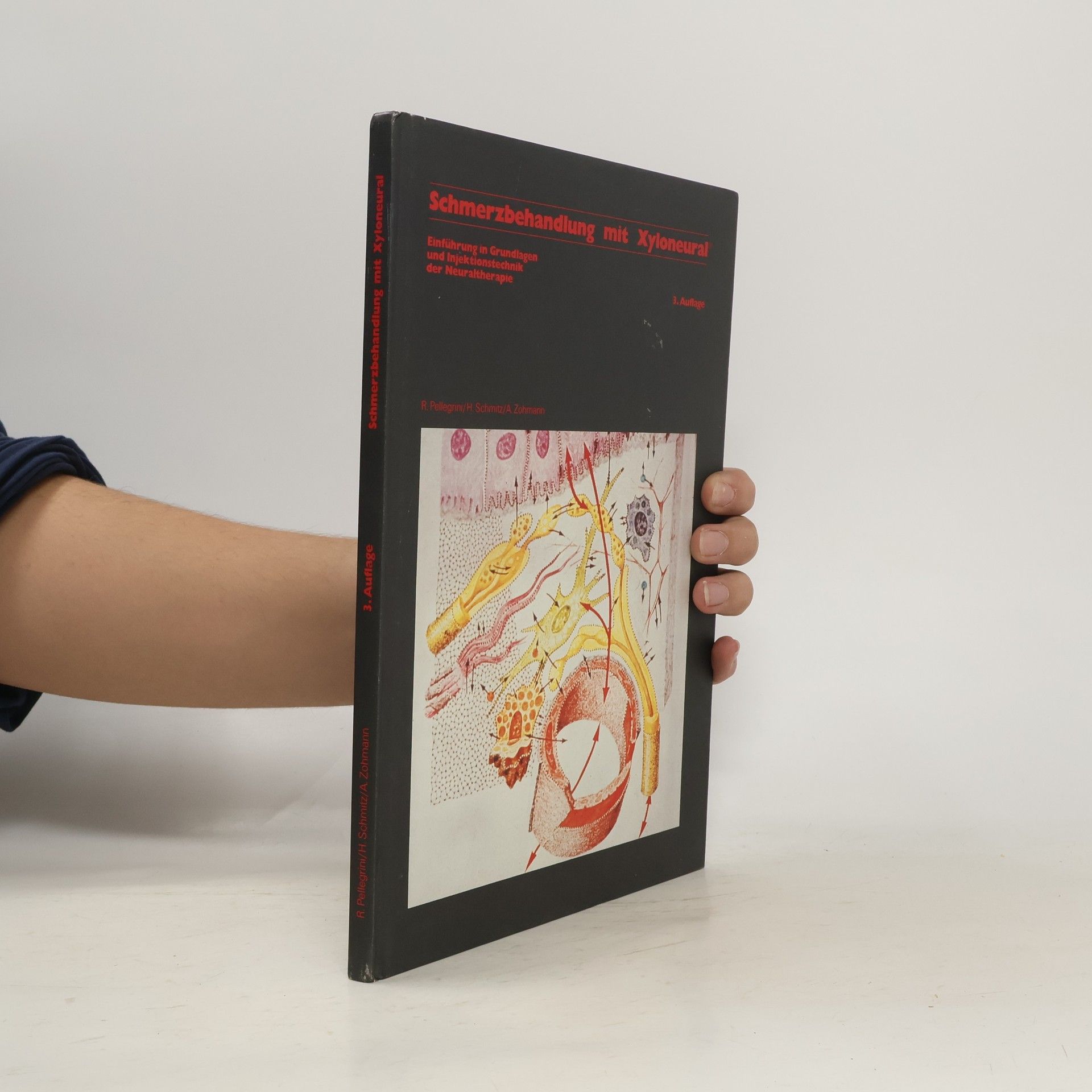 Schmerzbehandlung mit Xyloneural