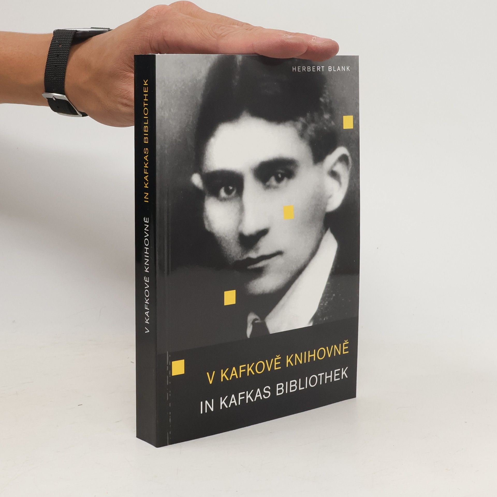 V Kafkově knihovně. In Kafkas Bibliothek