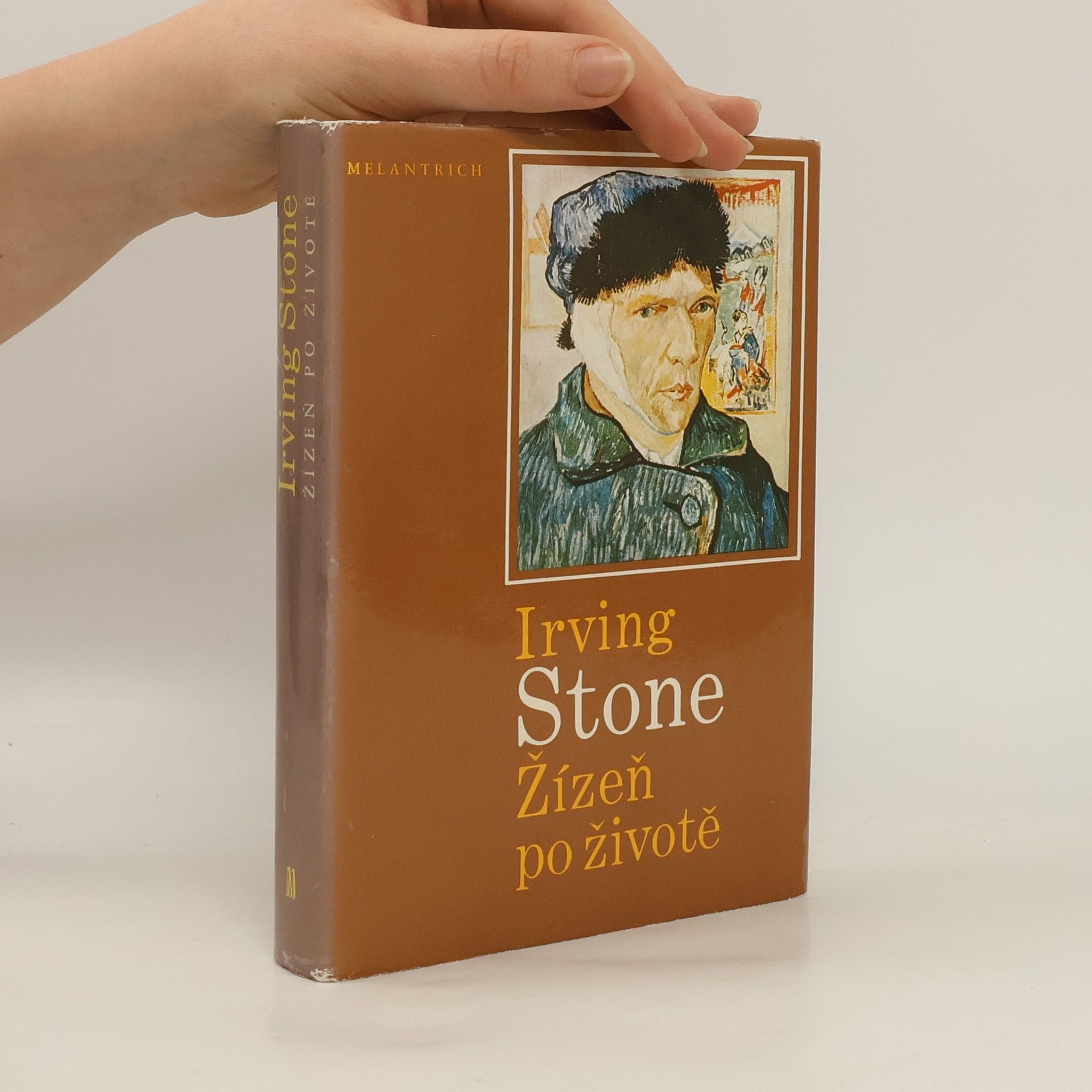 Irving Stone Žízeň po životě