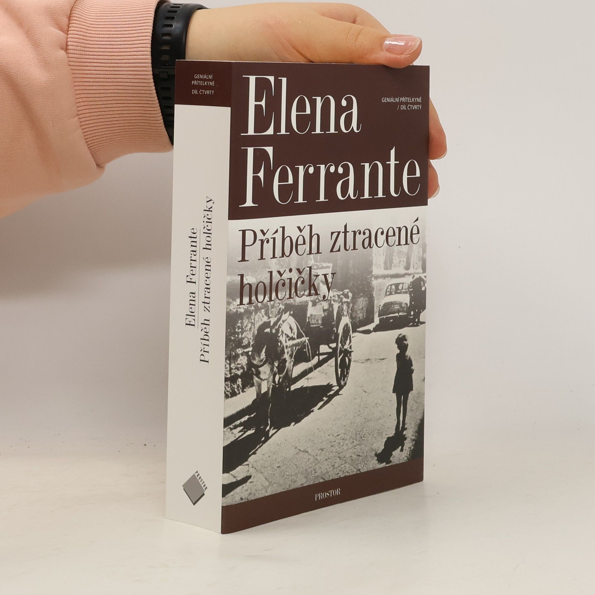 Elena Ferrante Příběh ztracené holčičky. Geniální přítelkyně. 4. díl