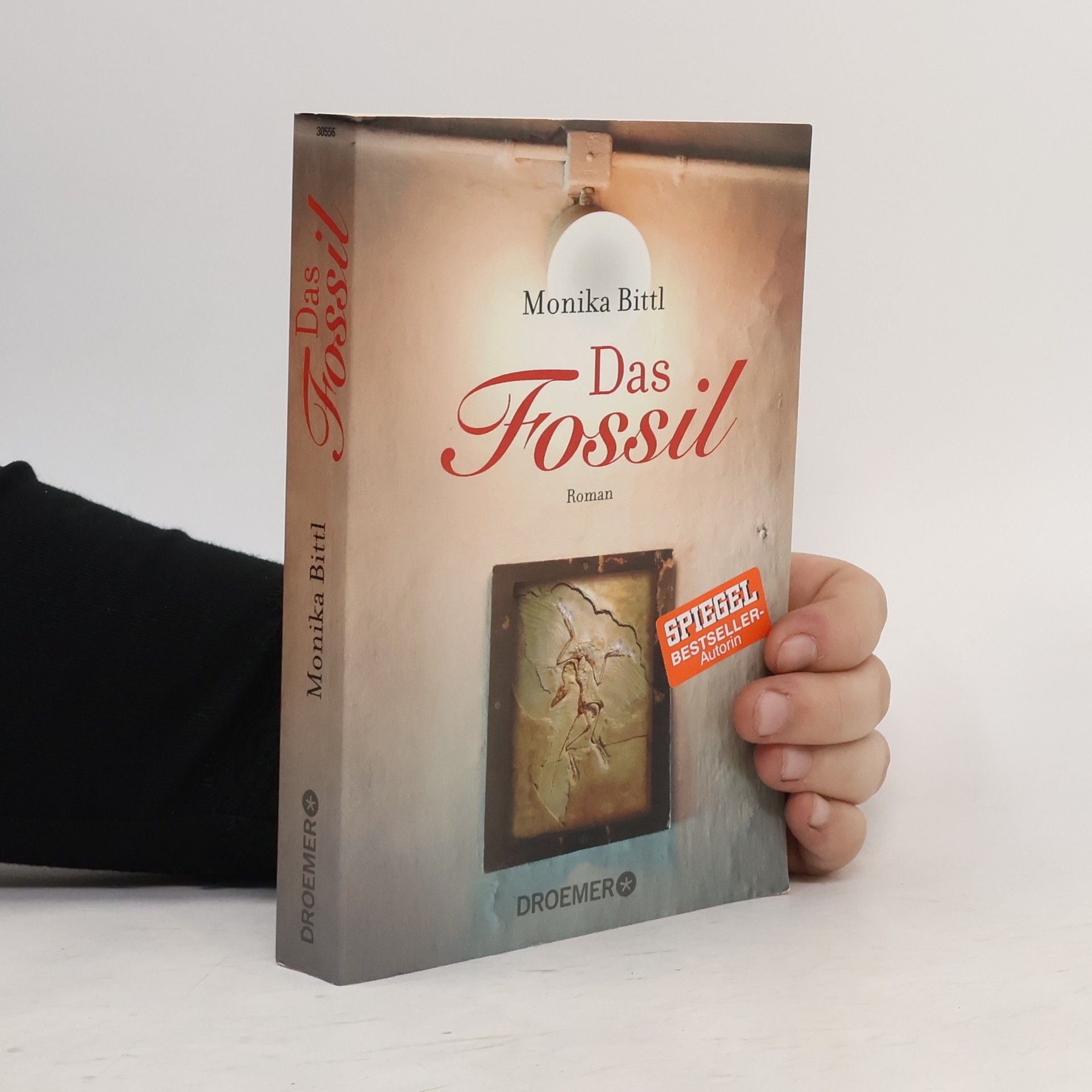 Monika Bittl Das Fossil