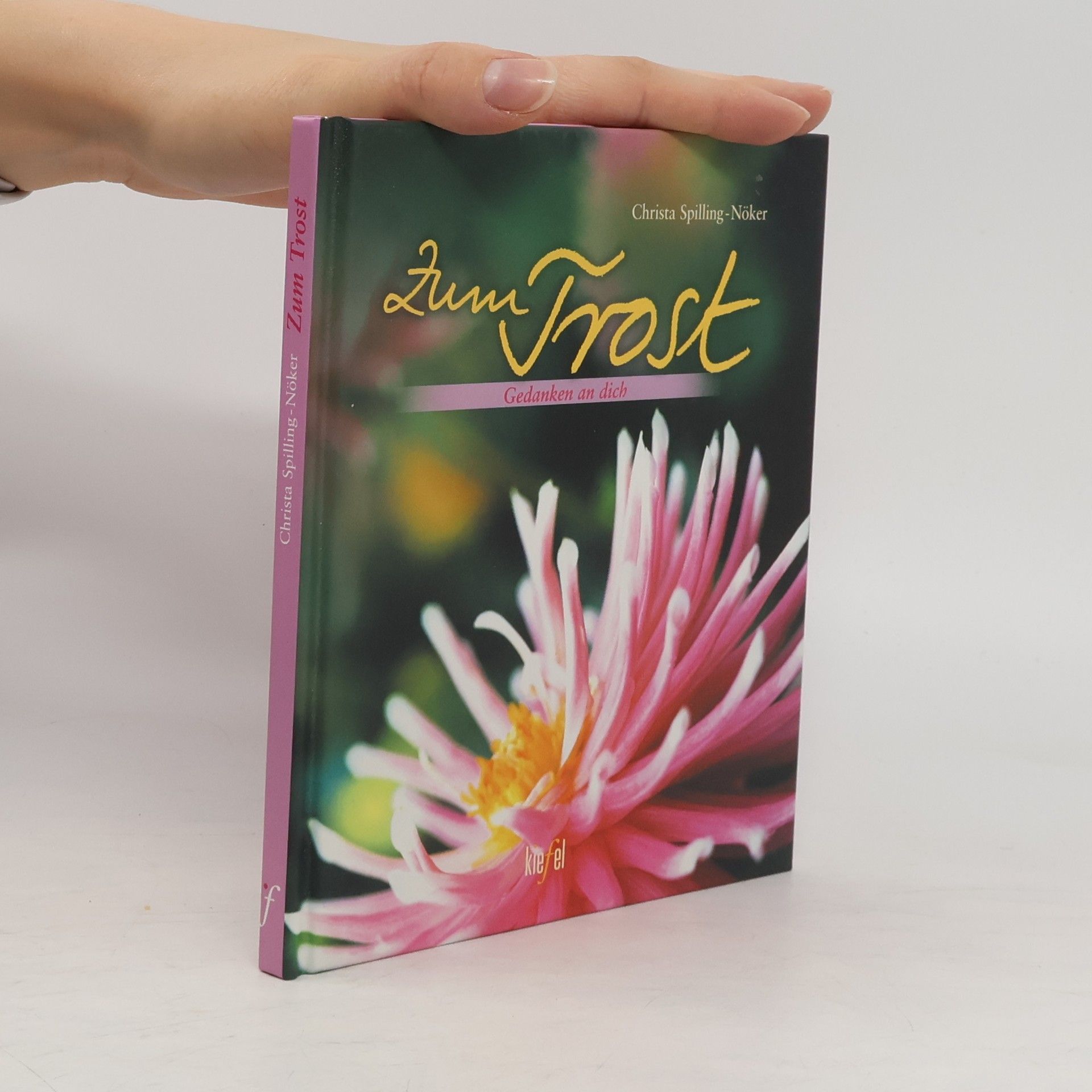 Christa Spilling-Nöker Zum Trost. Gedanken an dich
