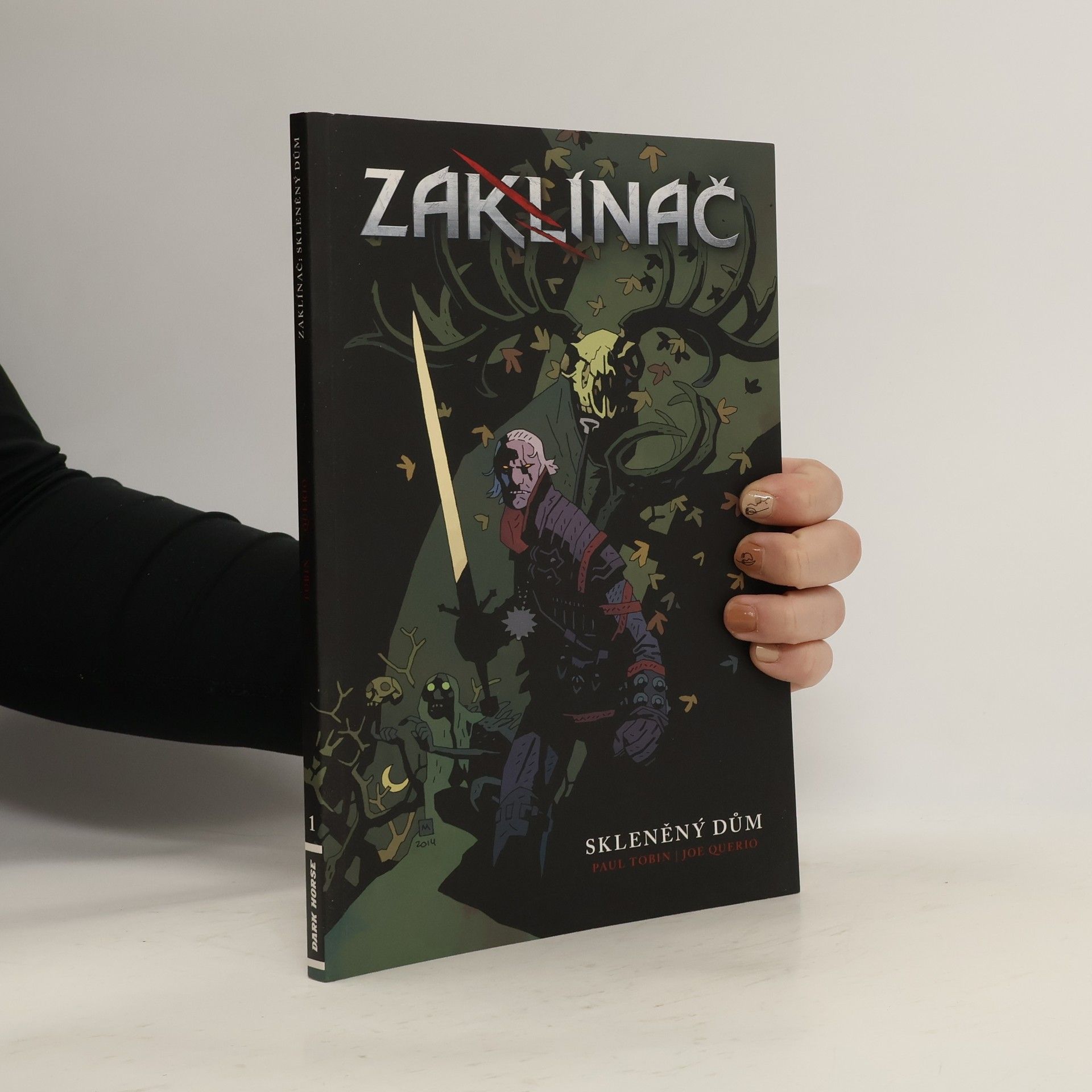 Zaklínač. Skleněný dům 1