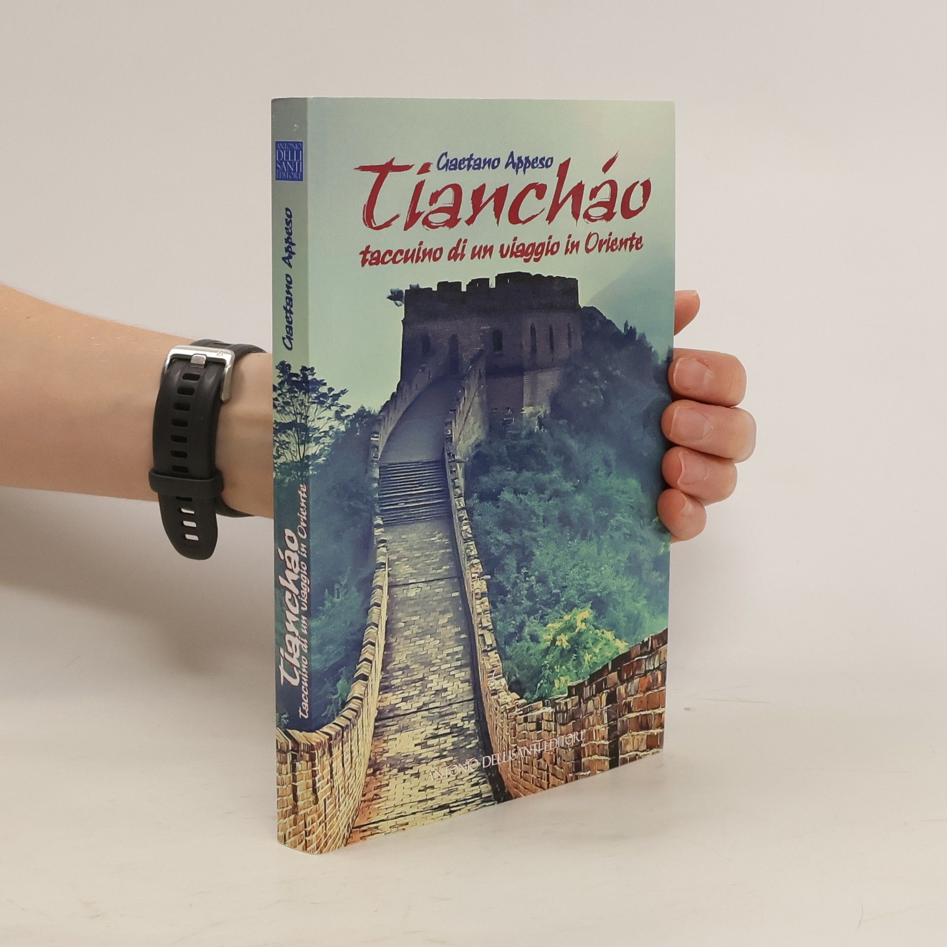 Gaetano Appeso Tiancháo. Taccuino di un viaggio in Oriente