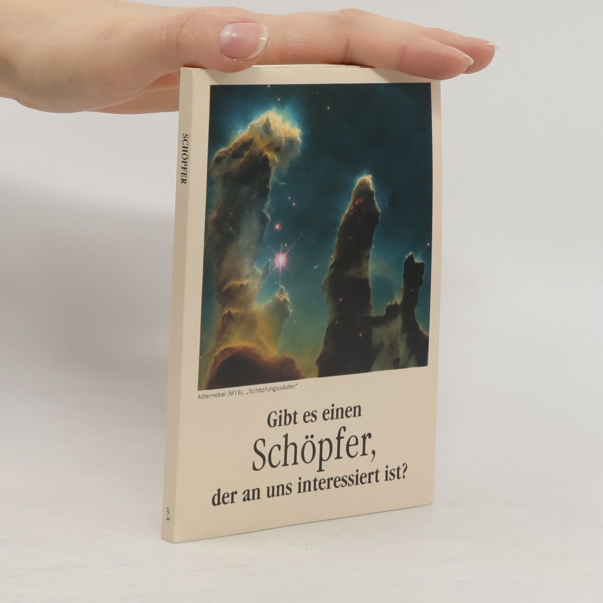 Collectif d'auteurs Gibt es einen Schöpfer, der an uns interessiert ist?