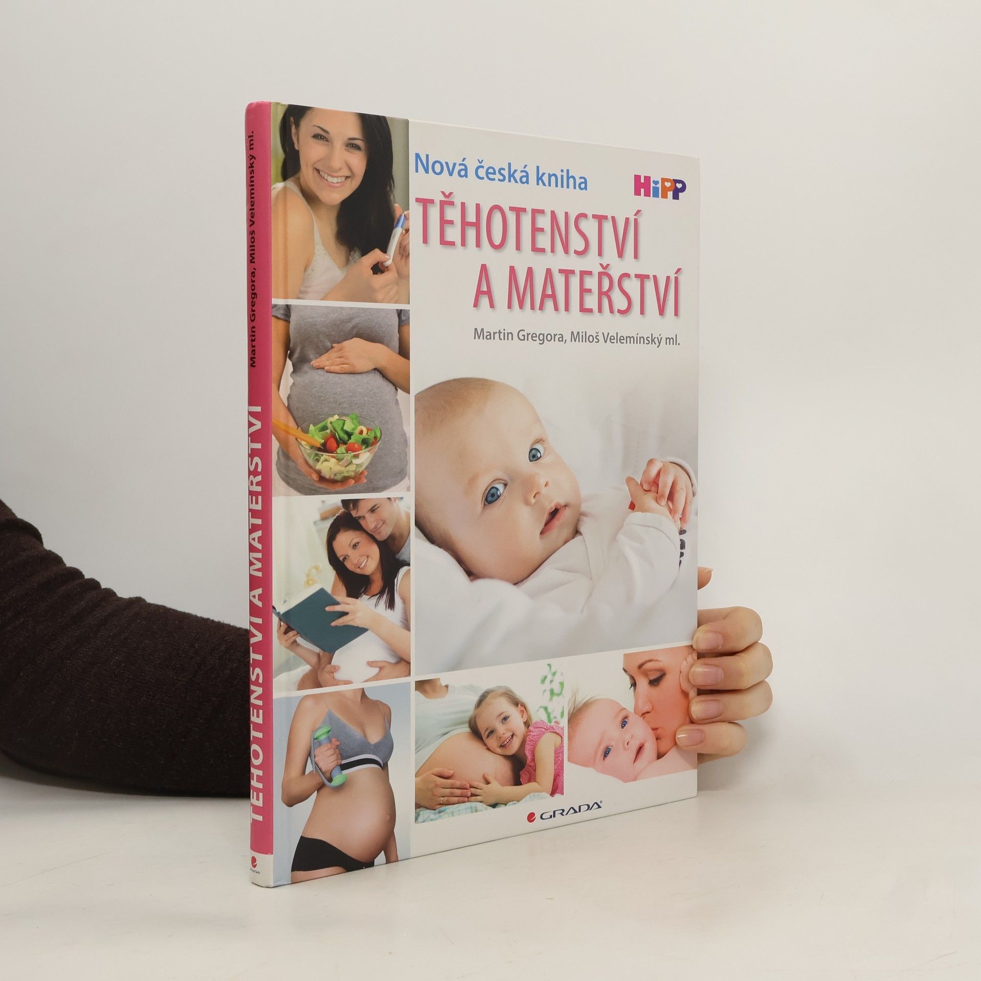 Martin Gregor-Dellin Těhotenství a mateřství