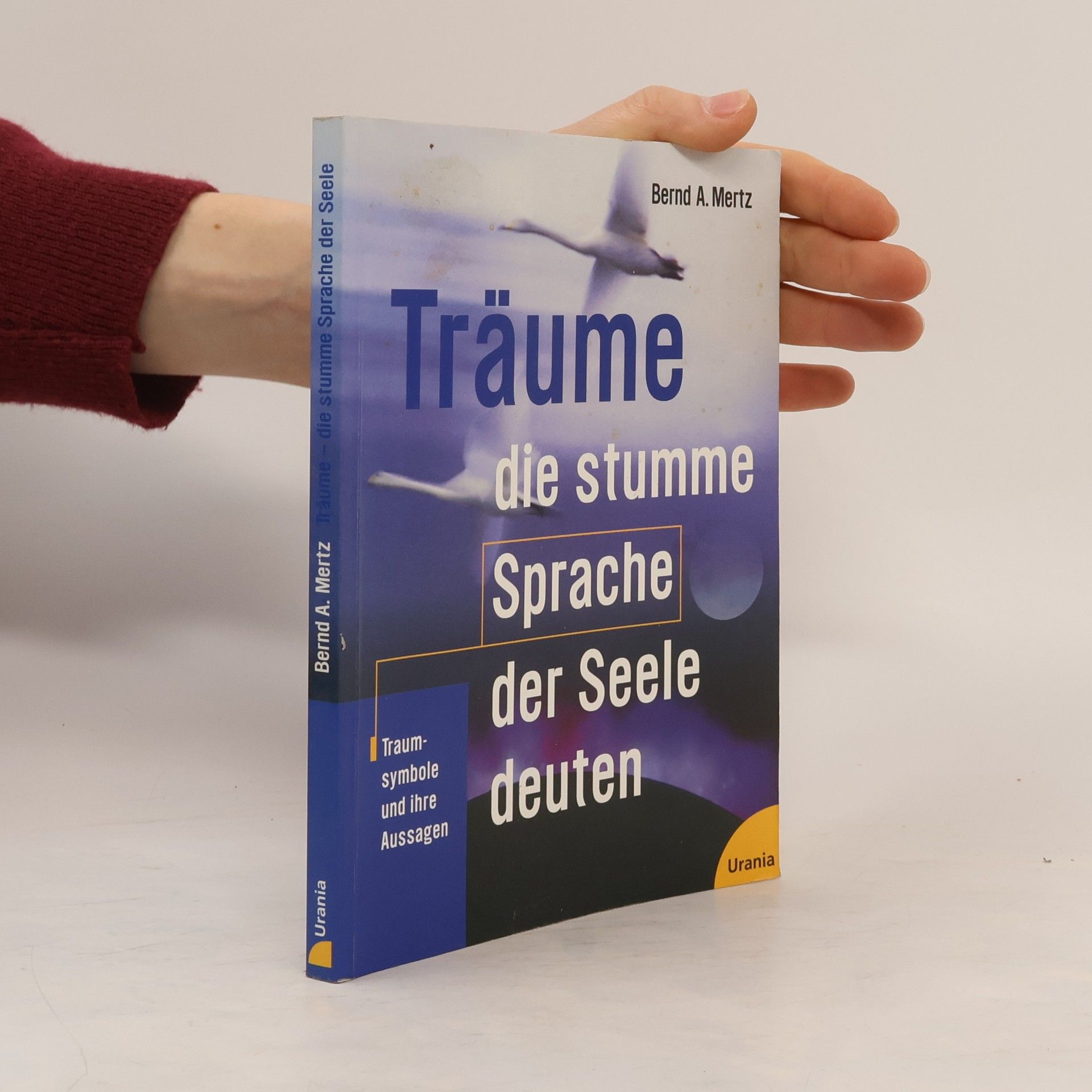 Bernd A. Mertz Träume