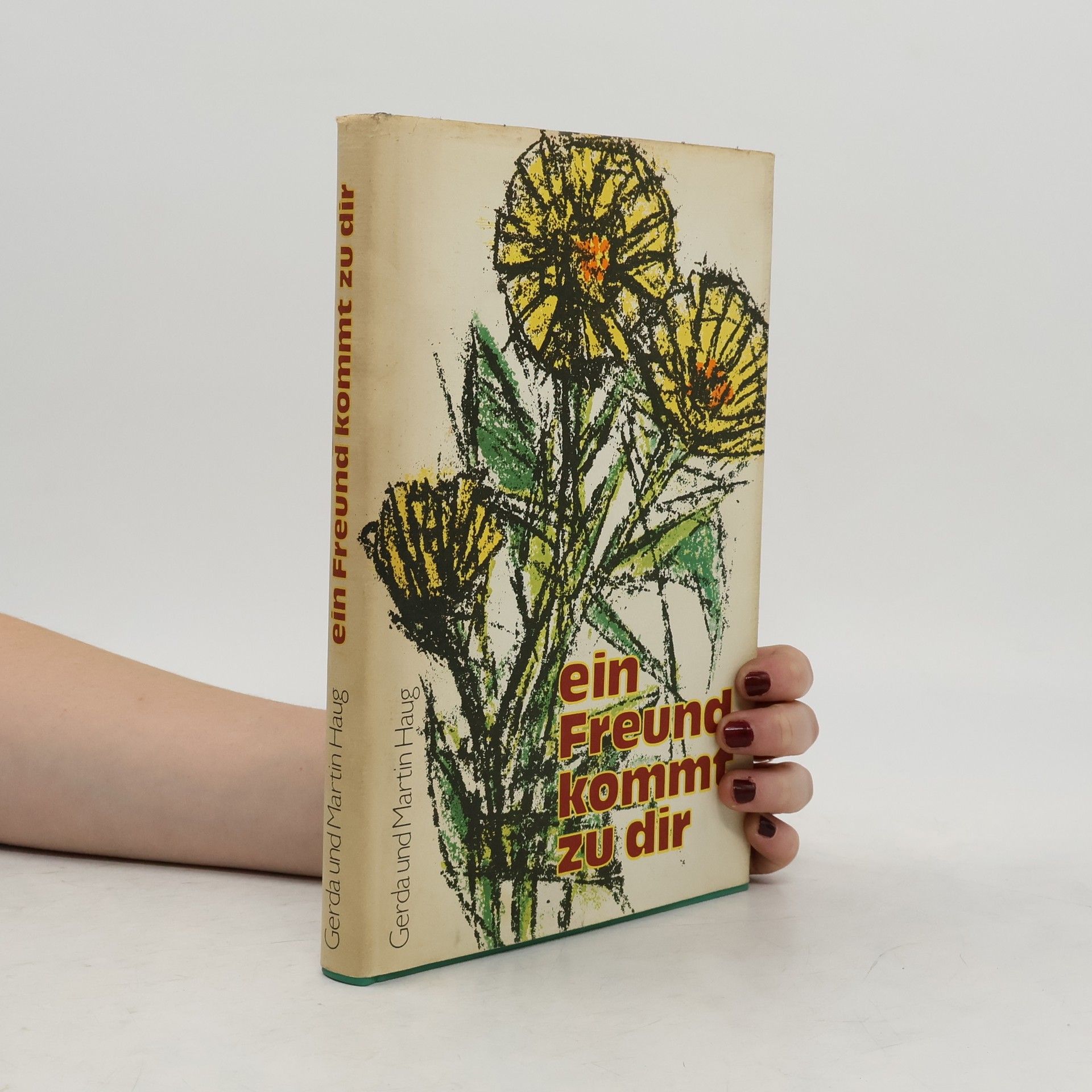 Gerda Haug Ein Freund kommt zu dir