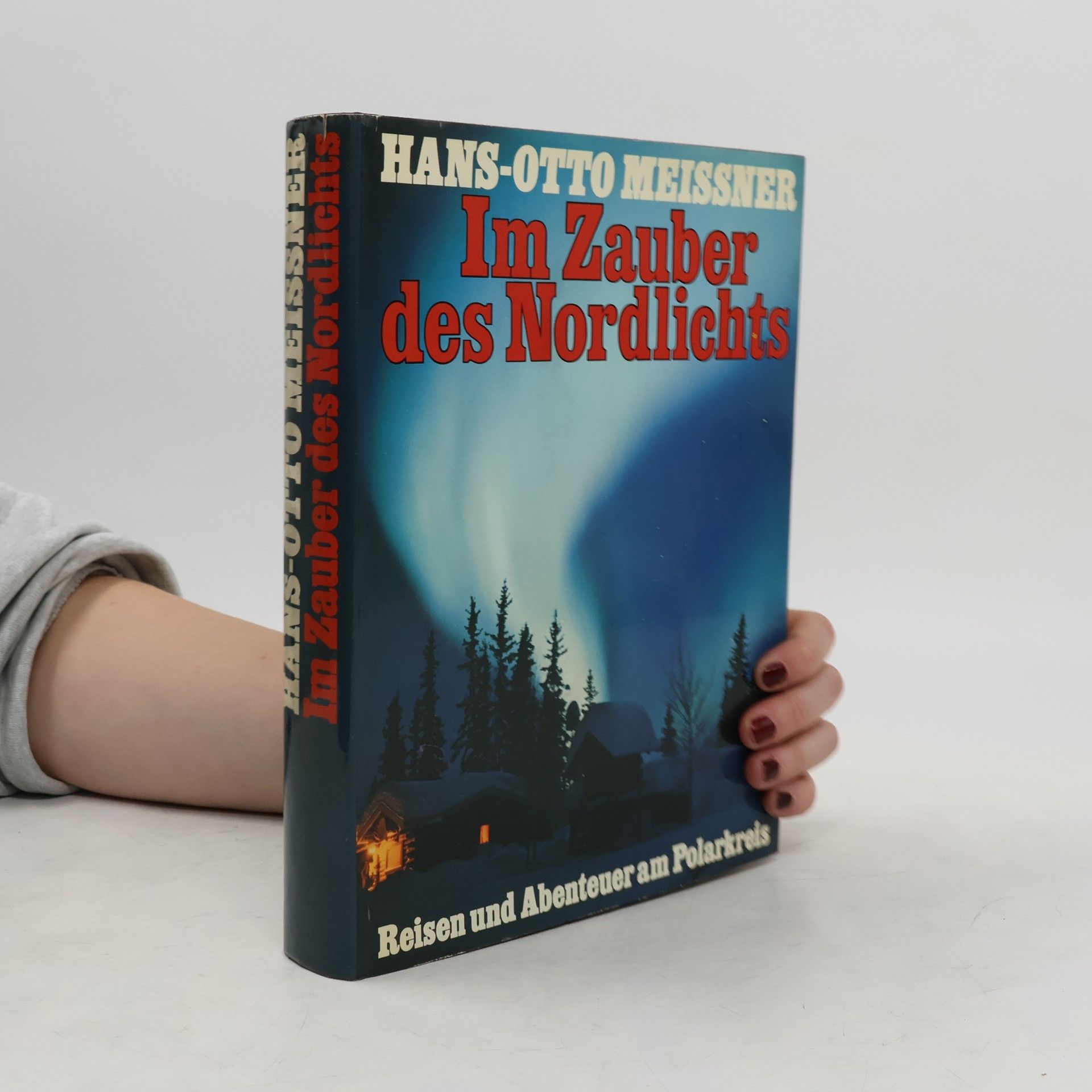 Hans-Otto Meissner Im Zauber des Nordlichts