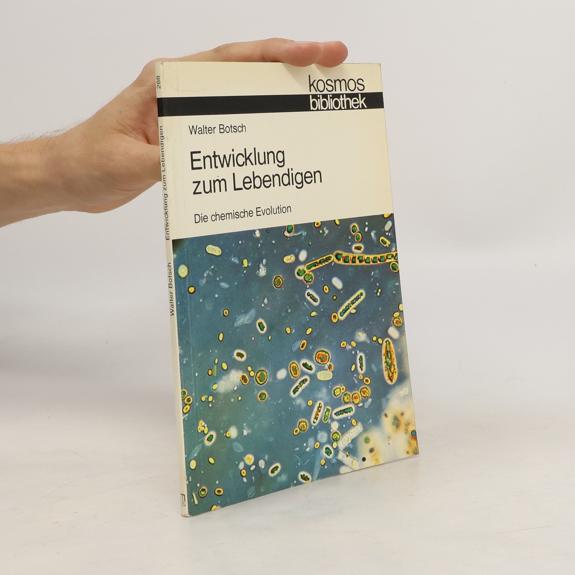 Walter Botsch Entwicklung zum Lebendigen