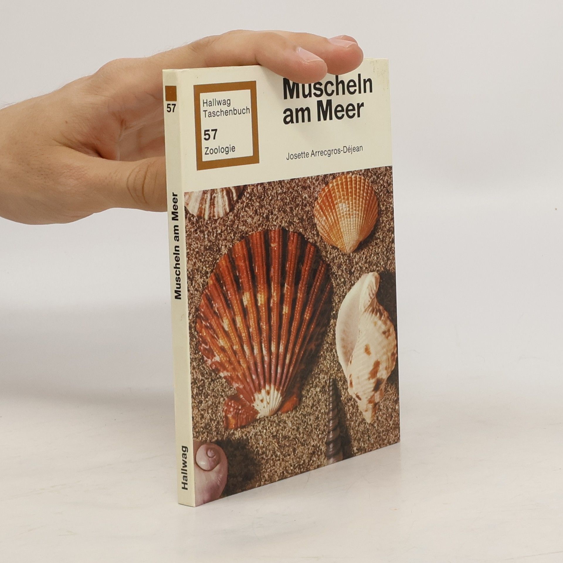 Josette Arrecgros Muscheln am Meer