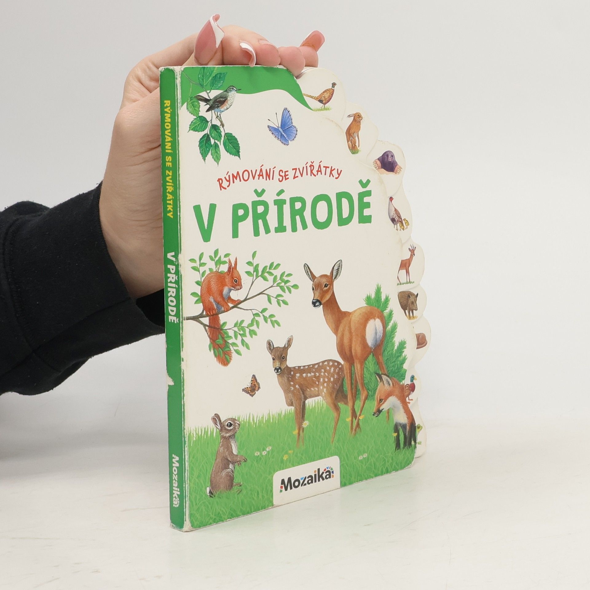 AA.VV. Rýmování se zvířátky: V přírodě
