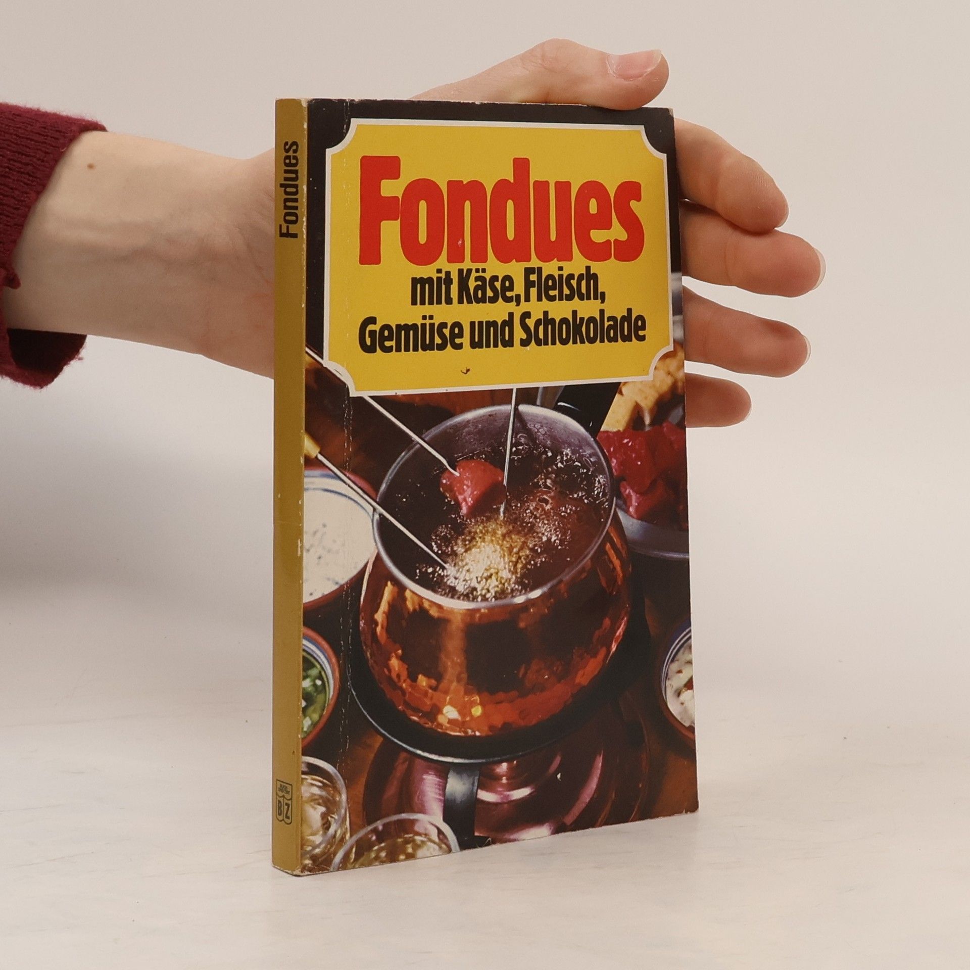 Fondues mit Käse, Fleisch, Gemüse und Schokolade