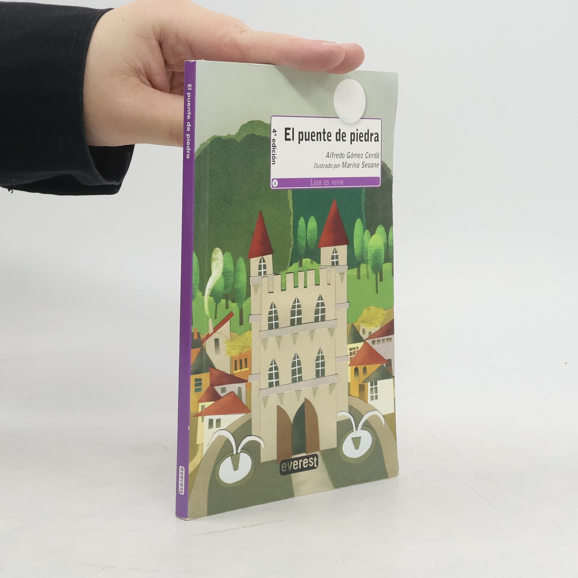 Alfredo Gómez Cerdá El puente de piedra - 4ª edición