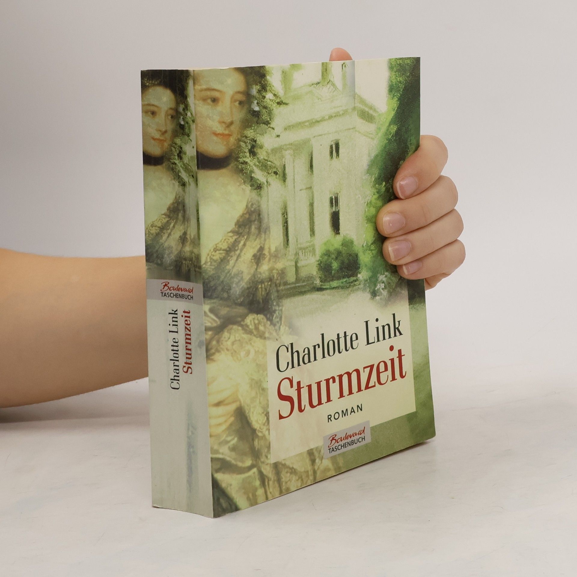 Charlotte Link Sturmzeit