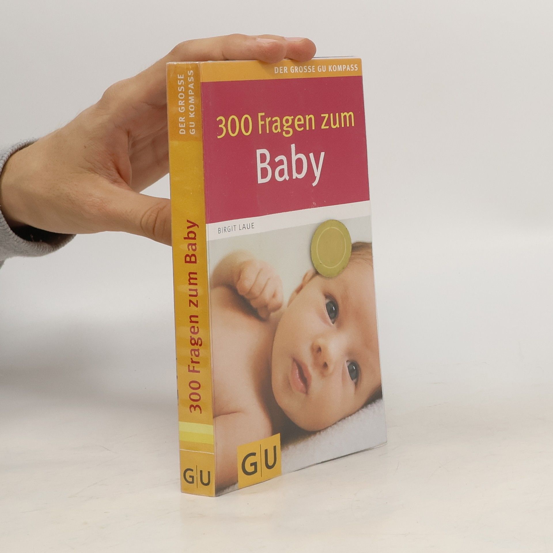 Birgit Laue 300 Fragen zum Baby