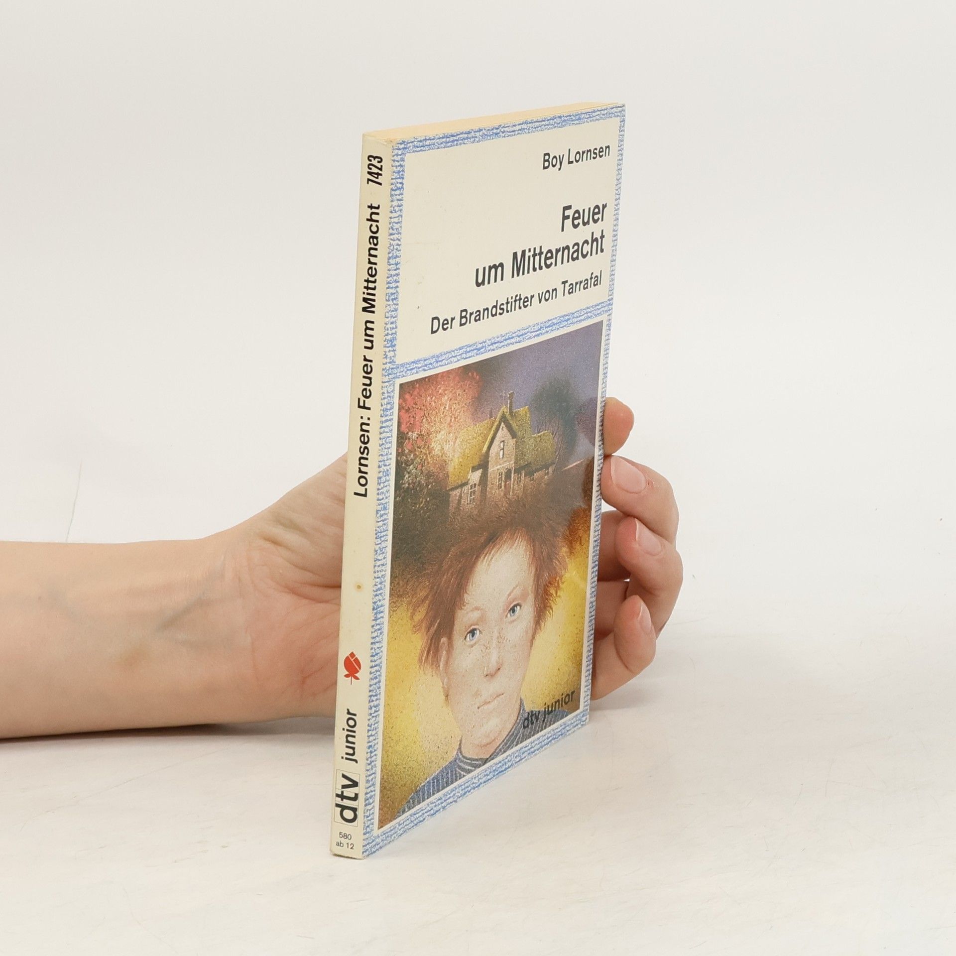 Boy Lornsen dtv junior: Feuer um Mitternacht