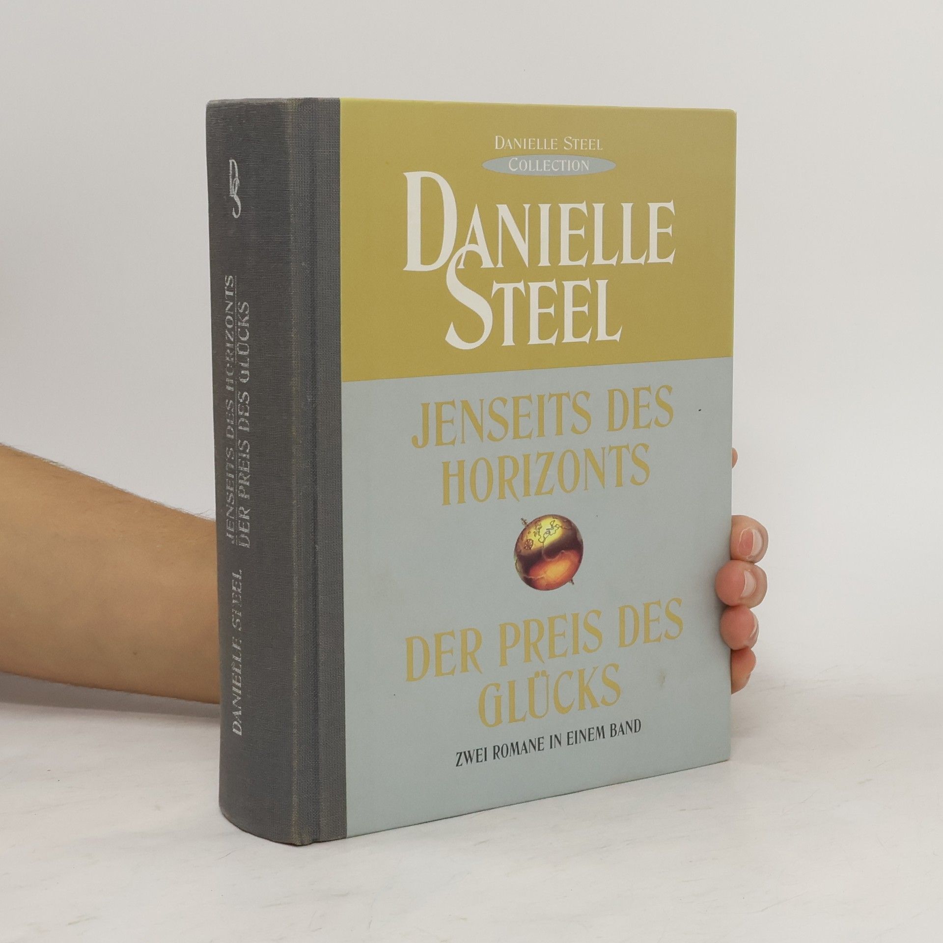 Danielle Steel Jenseits des Horizonts. Der Preis des Glücks
