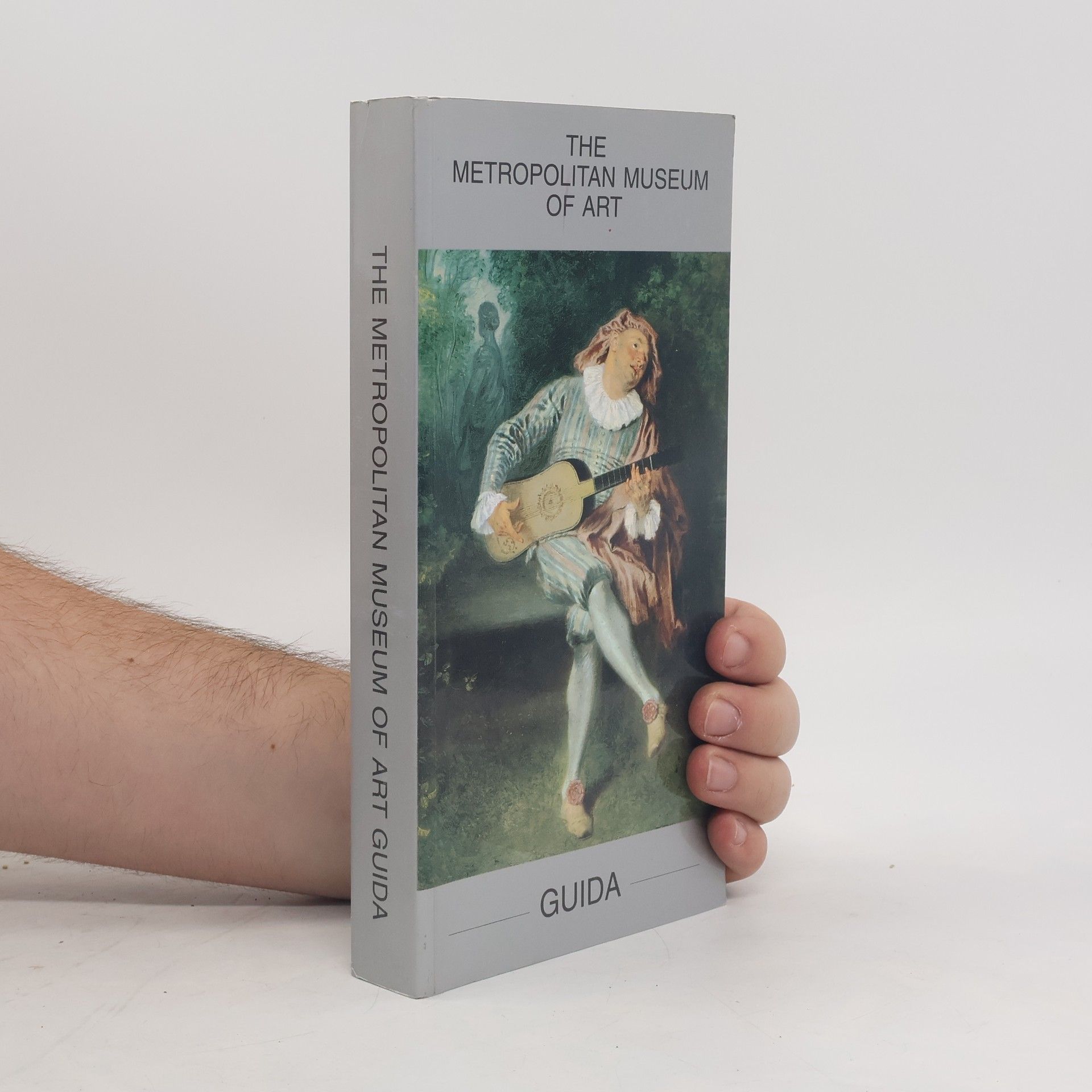 Autores varios The Metropolitan Museum of Art Guida