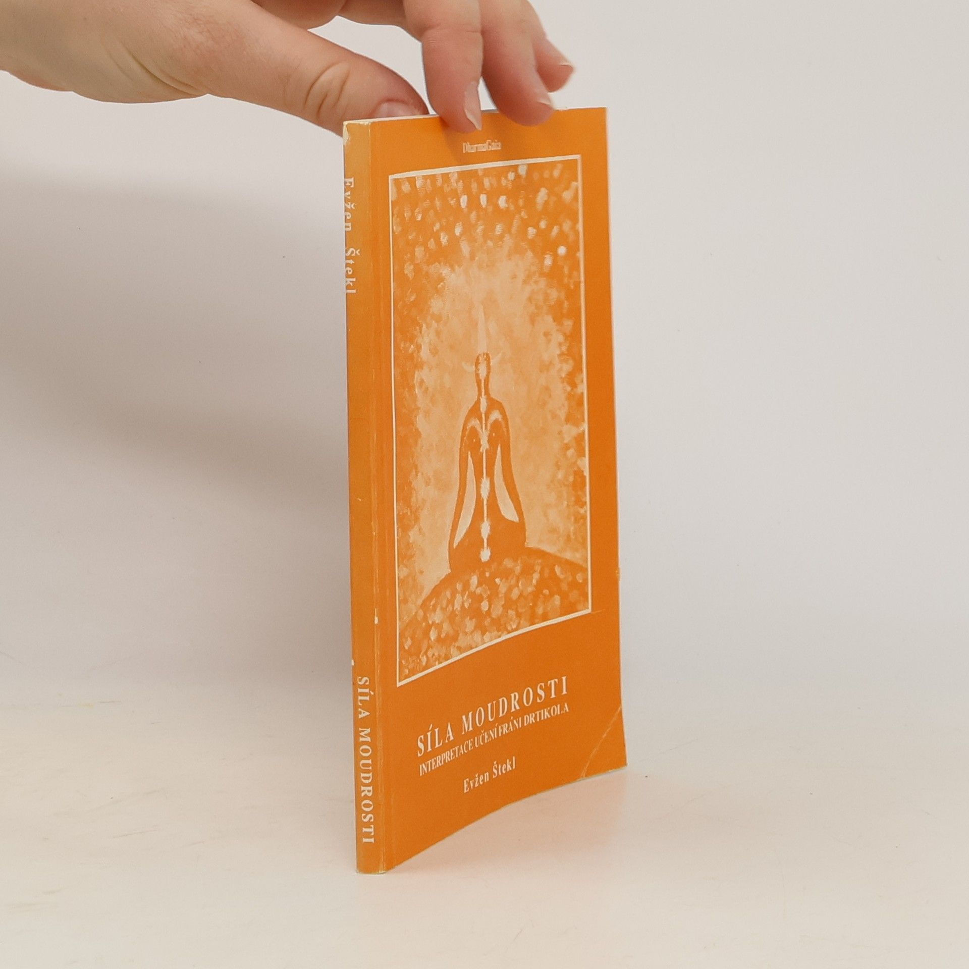 Evžen Štekl Síla moudrosti. Interpretace učení Fráni Drtikola