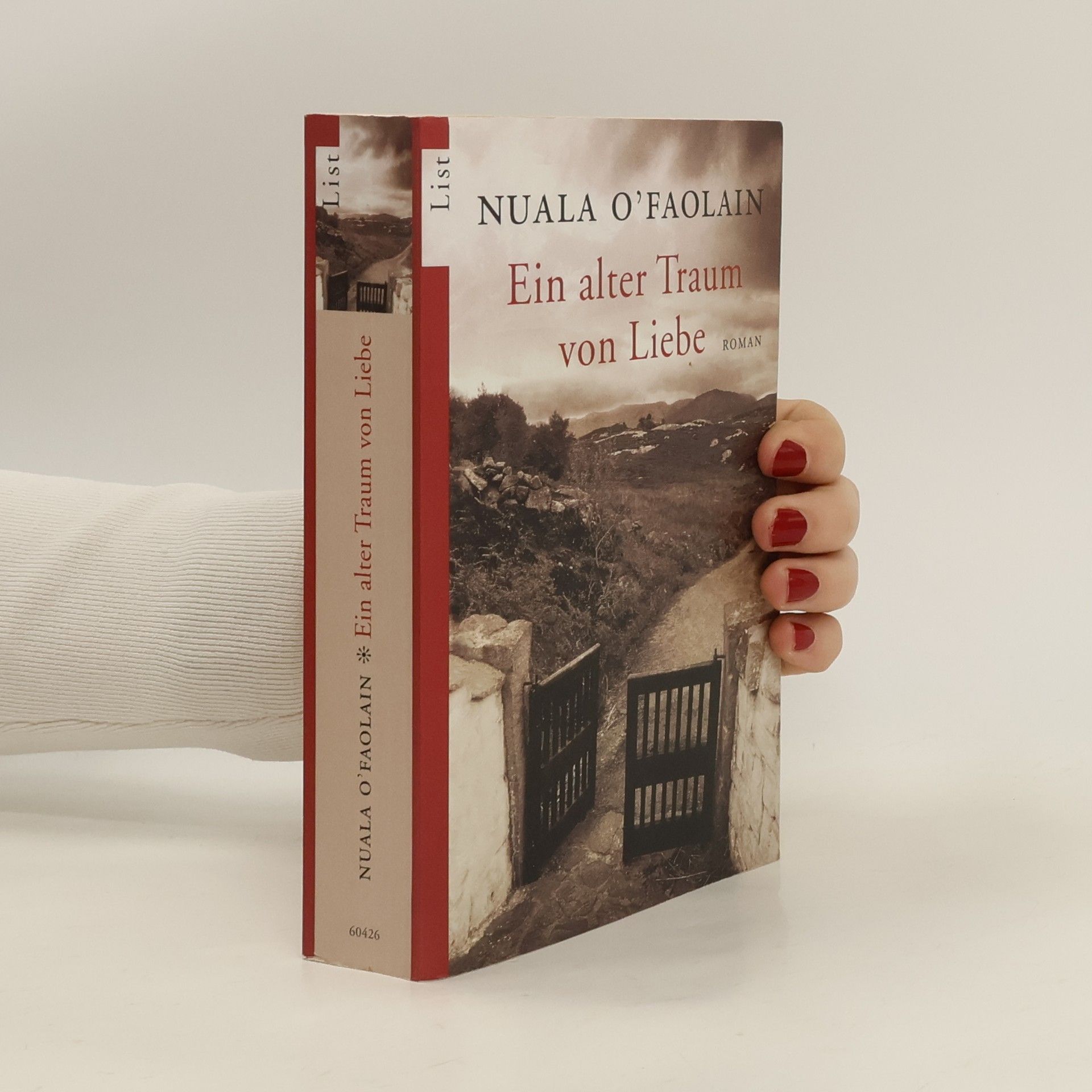 Nuala O. Faolain Ein alter Traum von Liebe