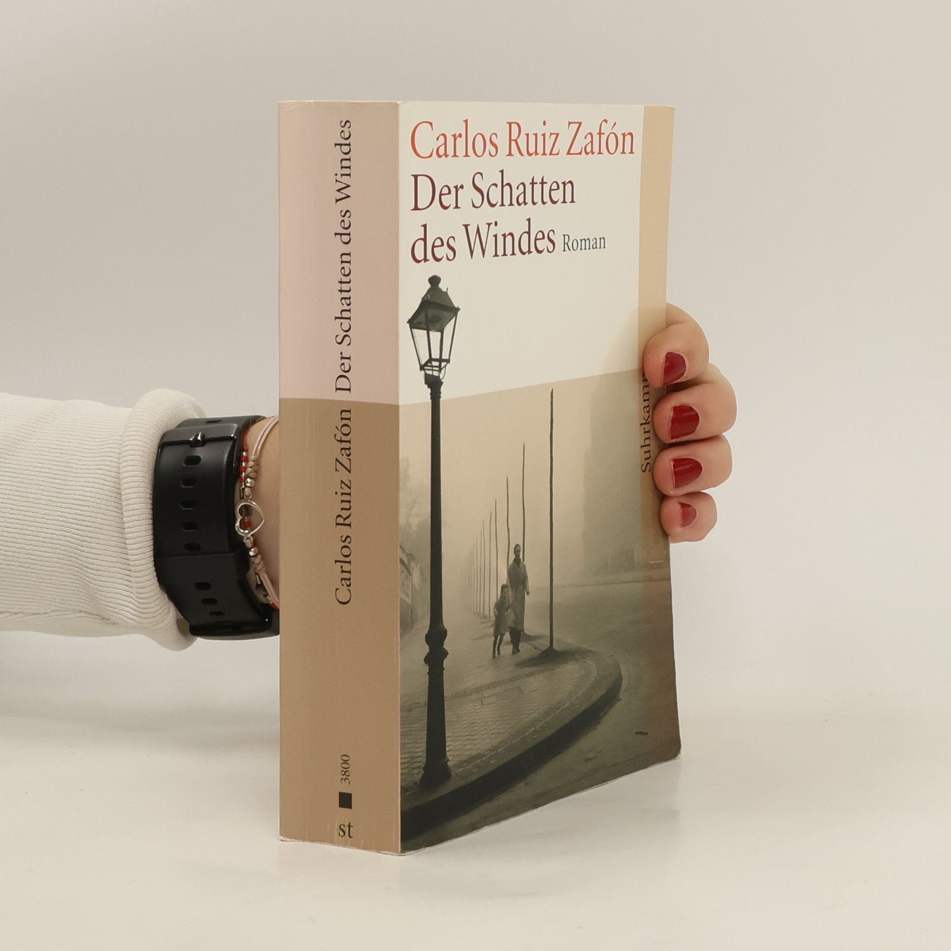 Carlos Ruiz Zafón Der Schatten des Windes