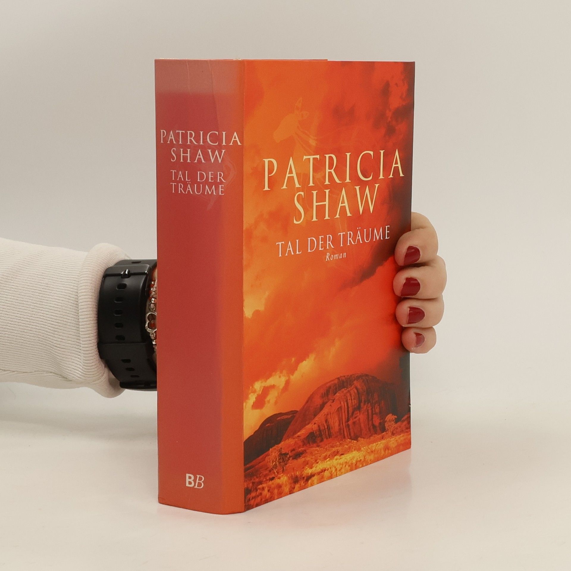 Patricia Shaw Tal der Träume