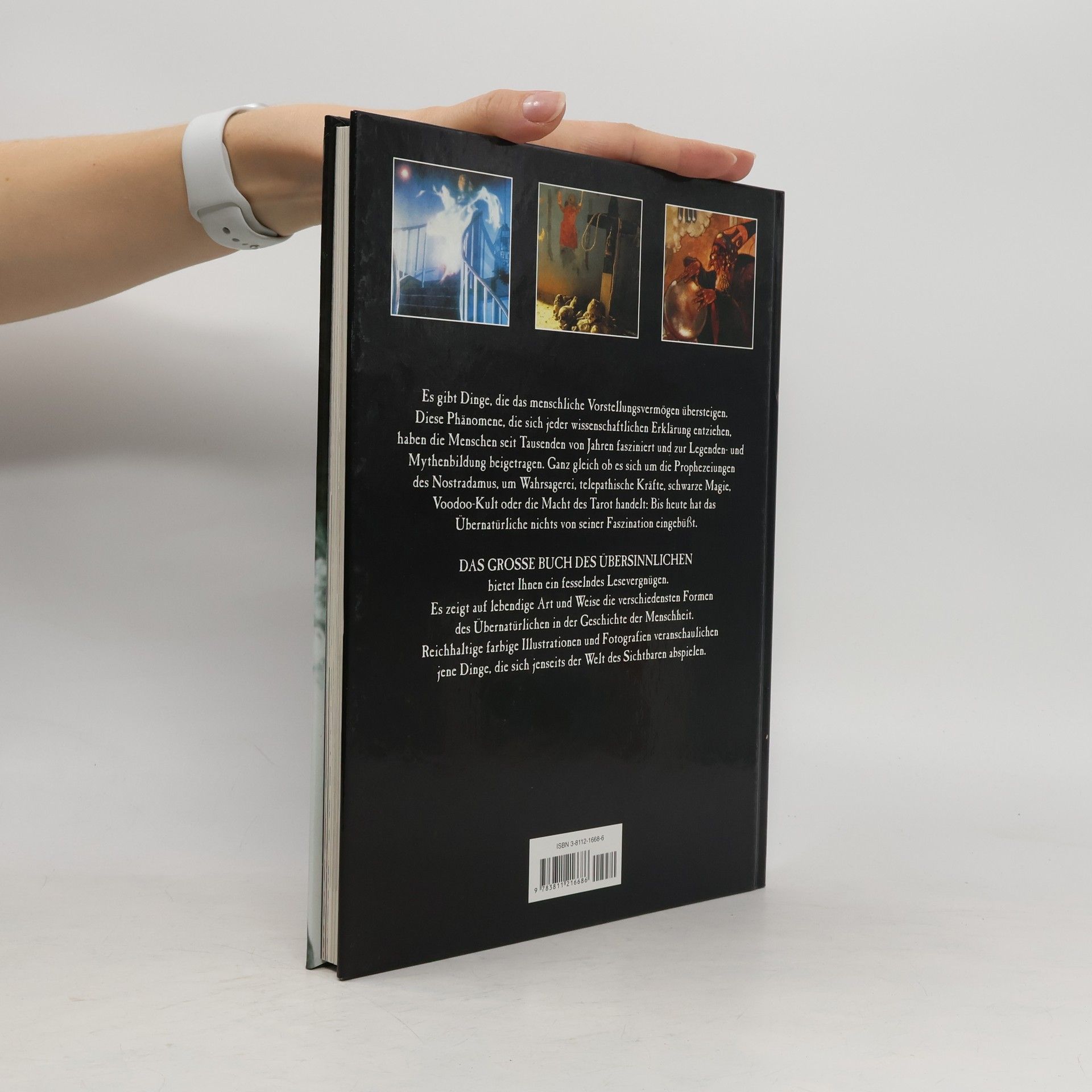 Karen Farrington Das große Buch des Übersinnlichen