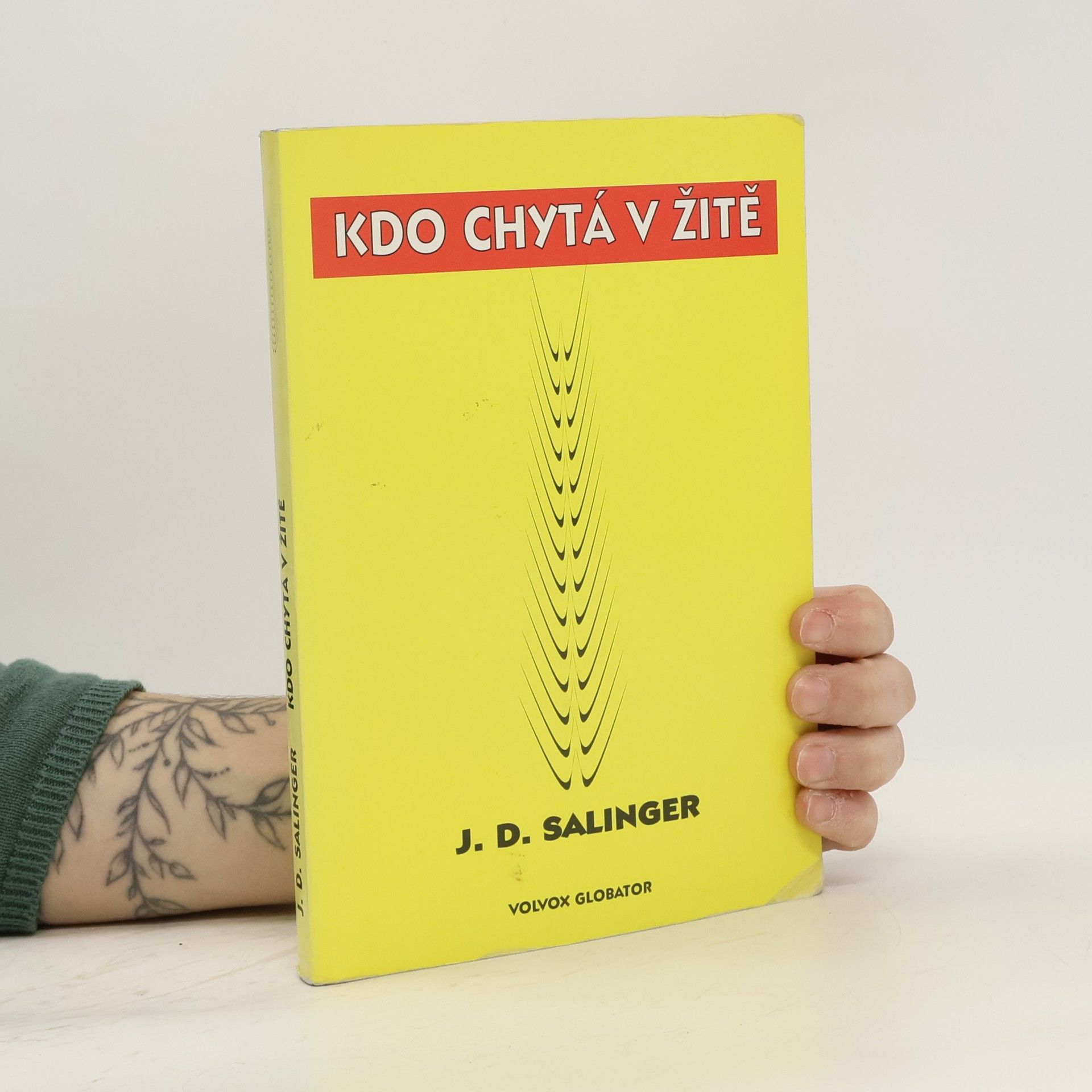 Jerome David Salinger Kdo chytá v žitě