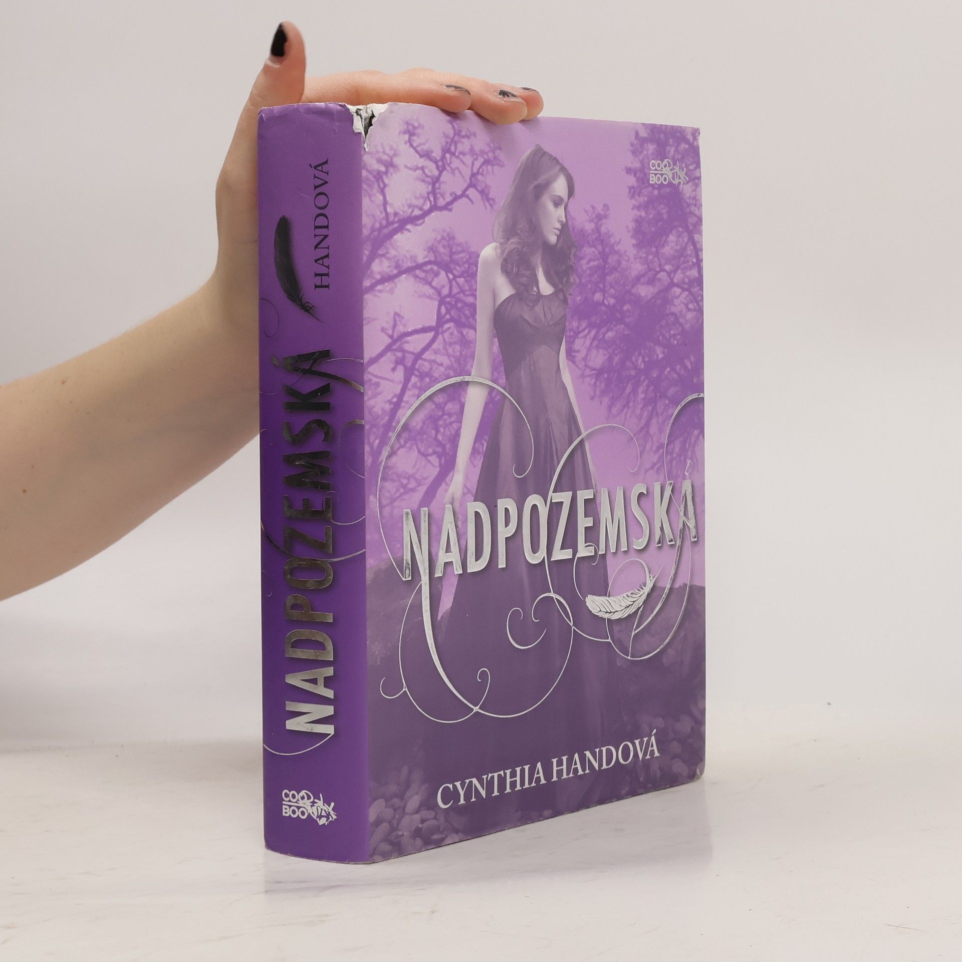 Cynthia Hand Nadpozemská. První díl