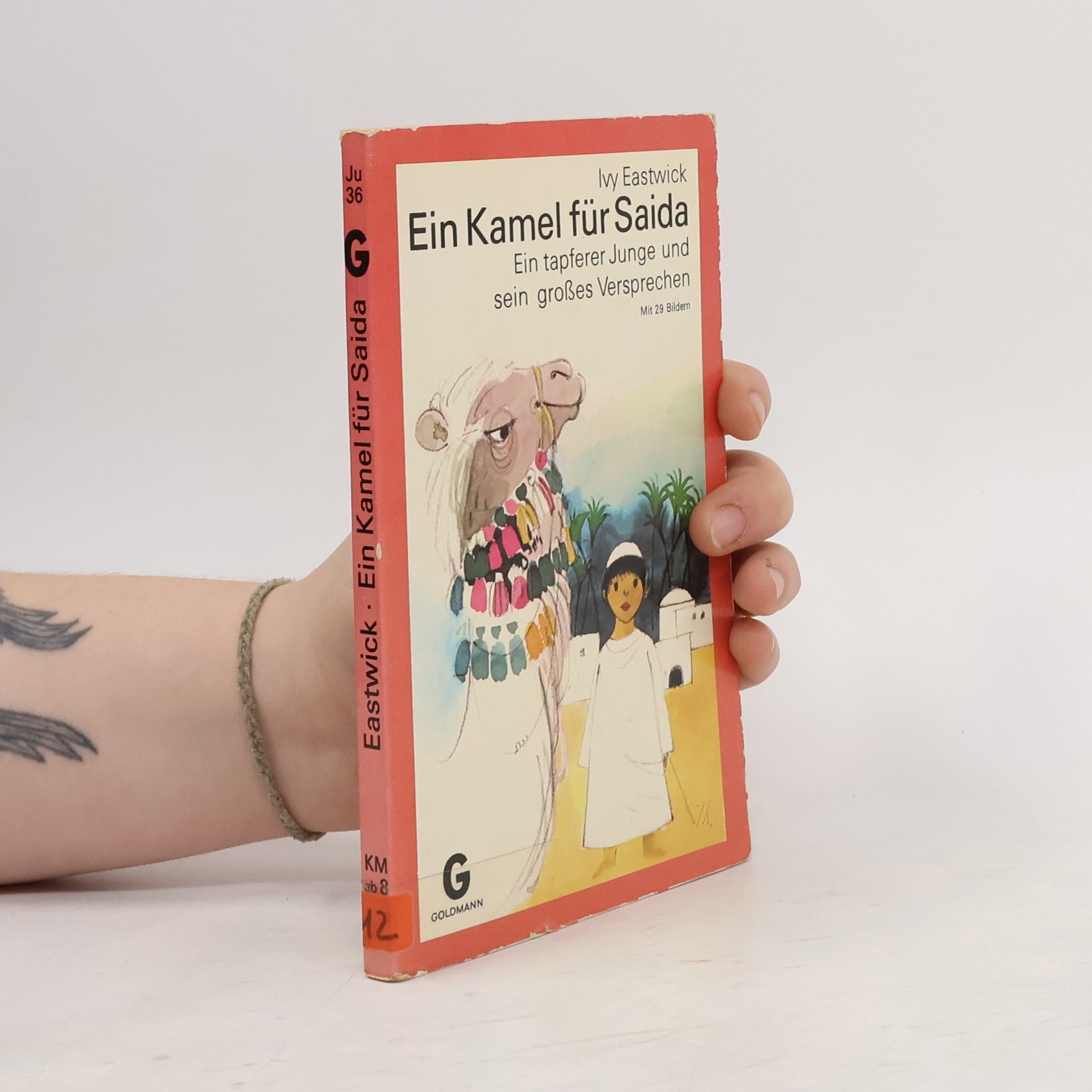 Ivy Eastwick Ein Kamel für Saida