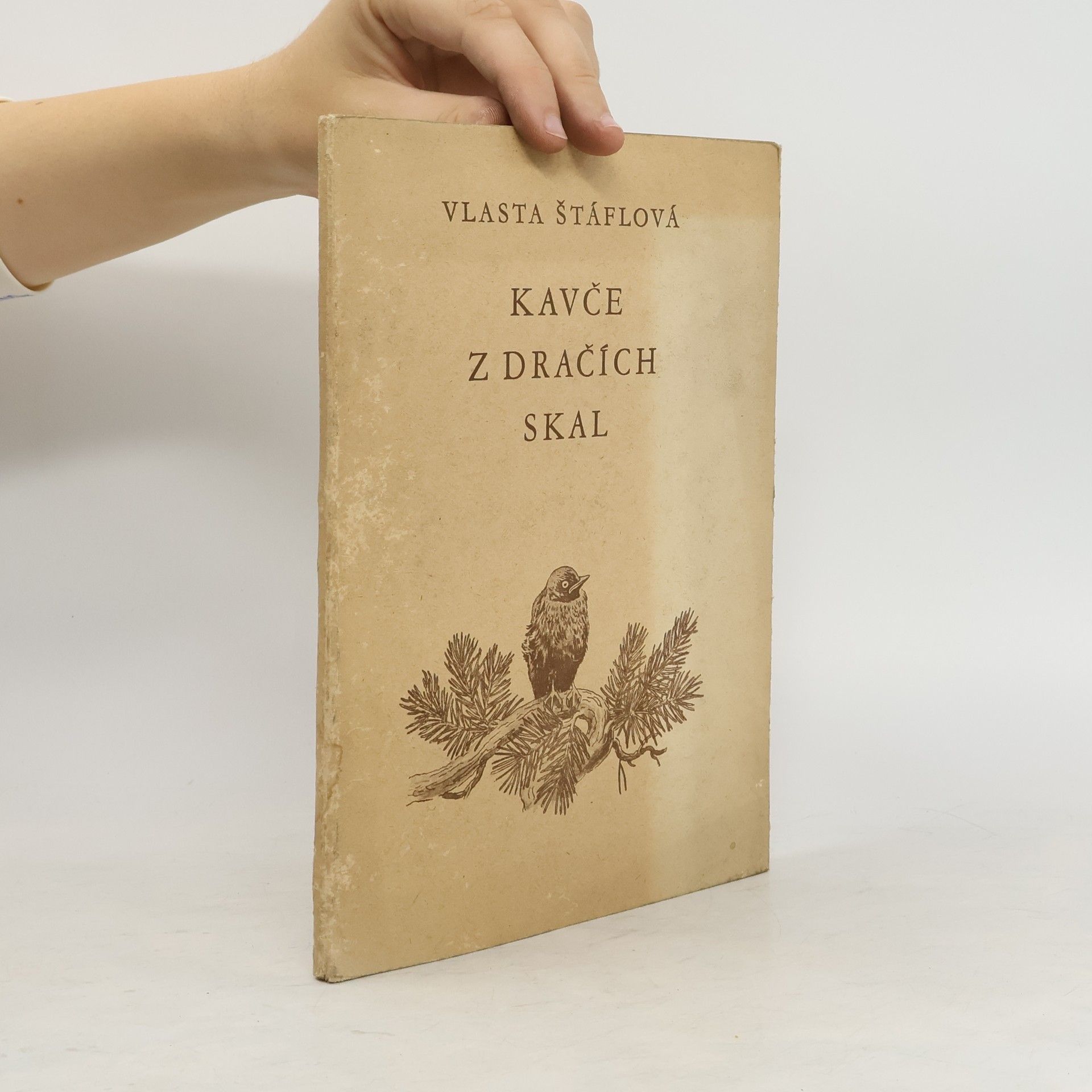 Kavče z Dračích skal