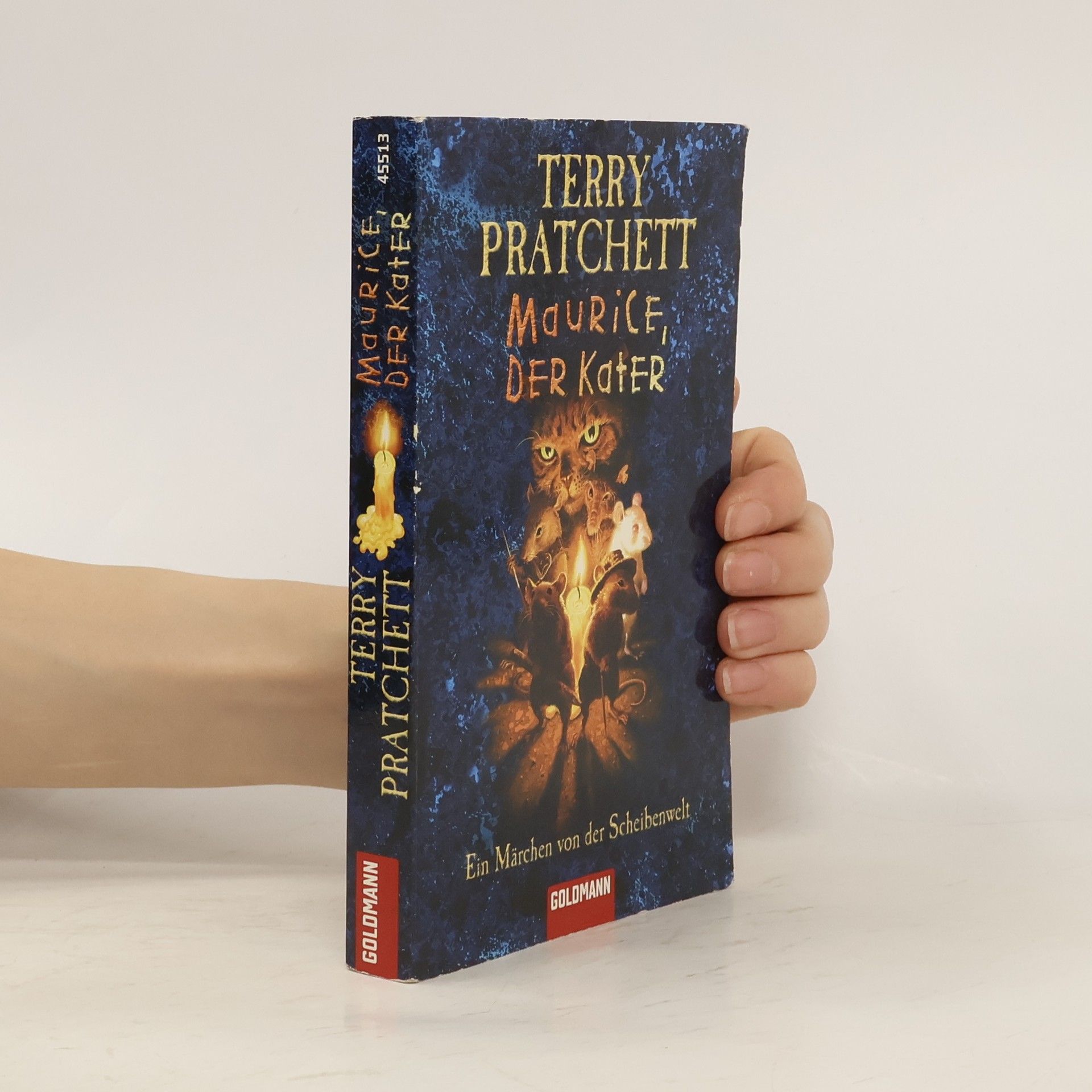 Terry Pratchett Maurice, der Kater