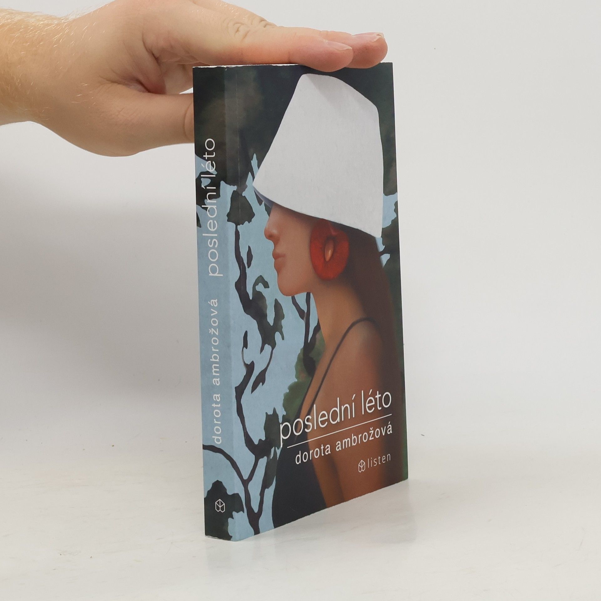 Dorota Ambrožová Poslední léto