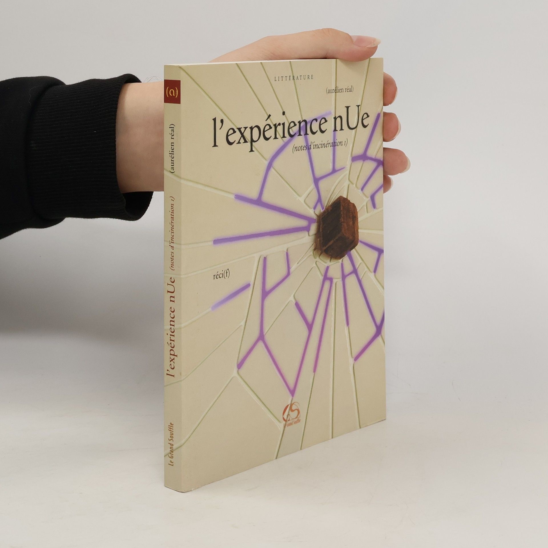 Aurélien Réal L'expérience nUe