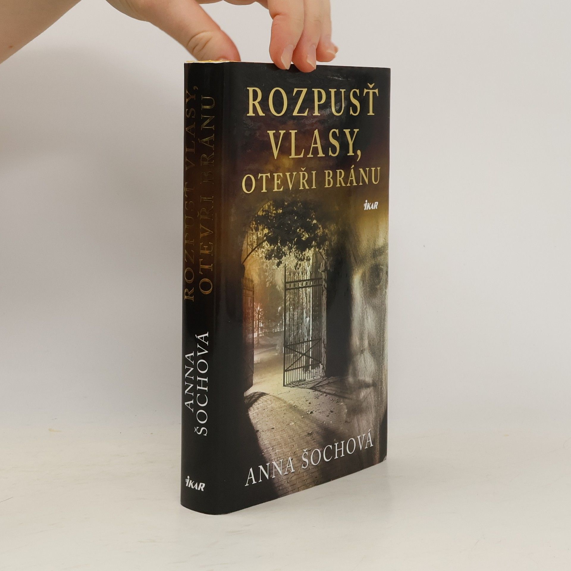 Anna Šochová Rozpusť vlasy, otevři bránu