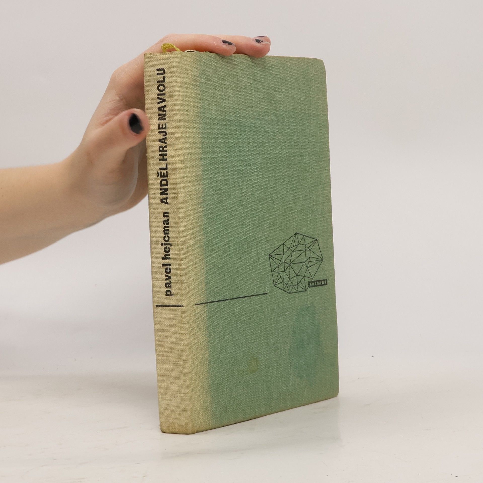 Pavel Hejcman Anděl hraje na violu